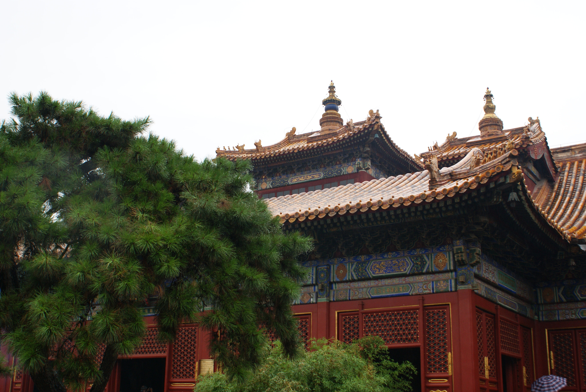 Sony DT 18-70mm F3.5-5.6 sample photo. Tibet photography