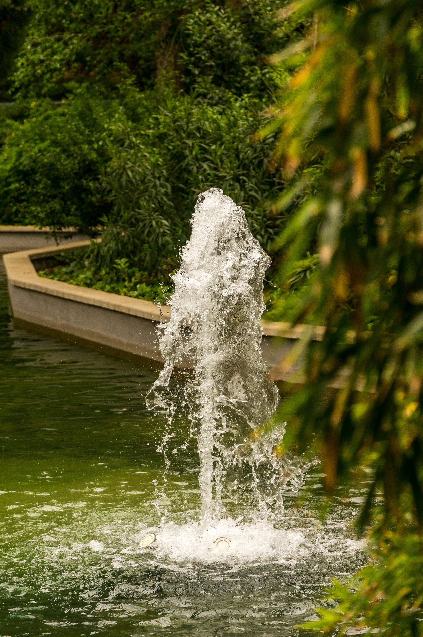 Sony Alpha NEX-6 + Sony E PZ 18-105mm F4 G OSS sample photo. Parc pegaso photography