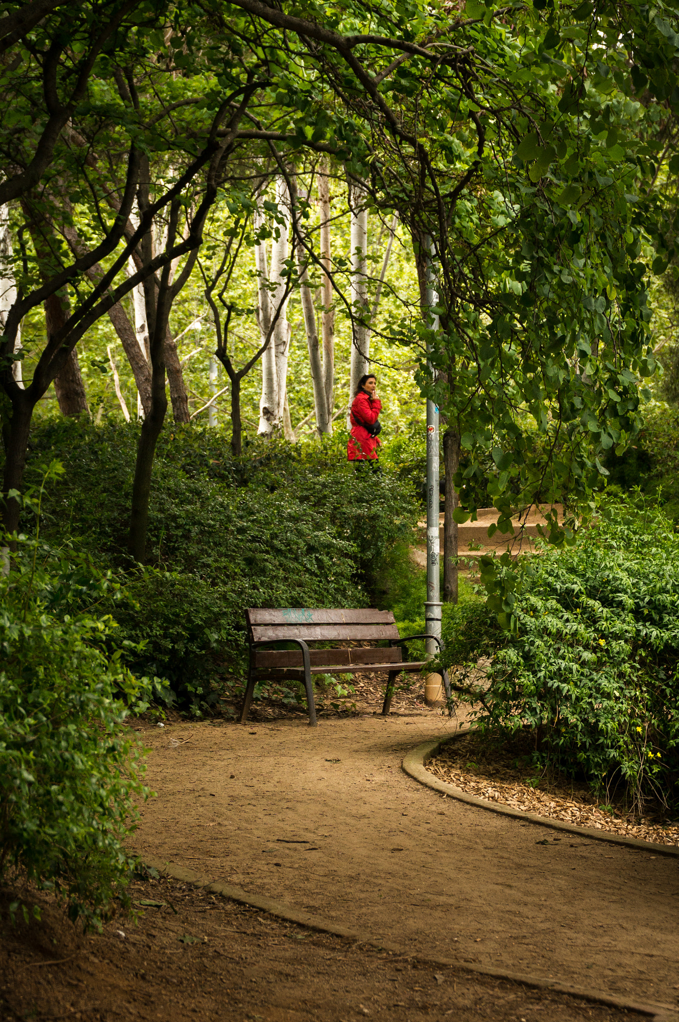 Sony Alpha NEX-6 + Sony E PZ 18-105mm F4 G OSS sample photo. Parc pegaso photography