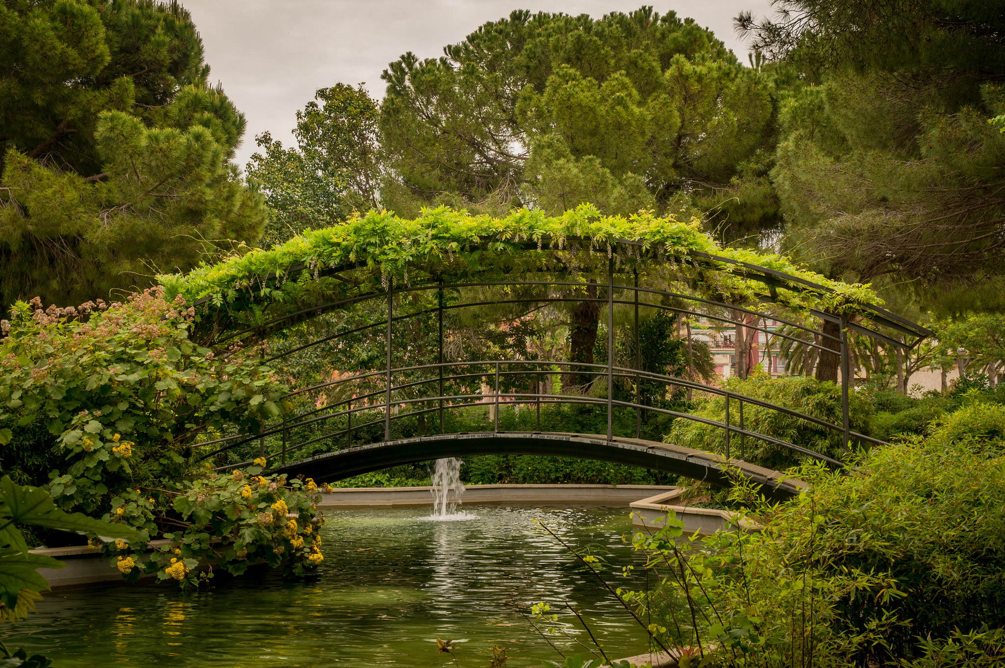 Sony Alpha NEX-6 + Sony E PZ 18-105mm F4 G OSS sample photo. Parc pegaso photography