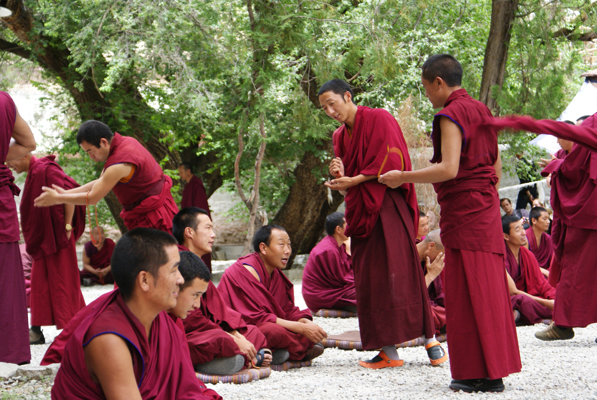 Sony DT 18-70mm F3.5-5.6 sample photo. Tibet photography