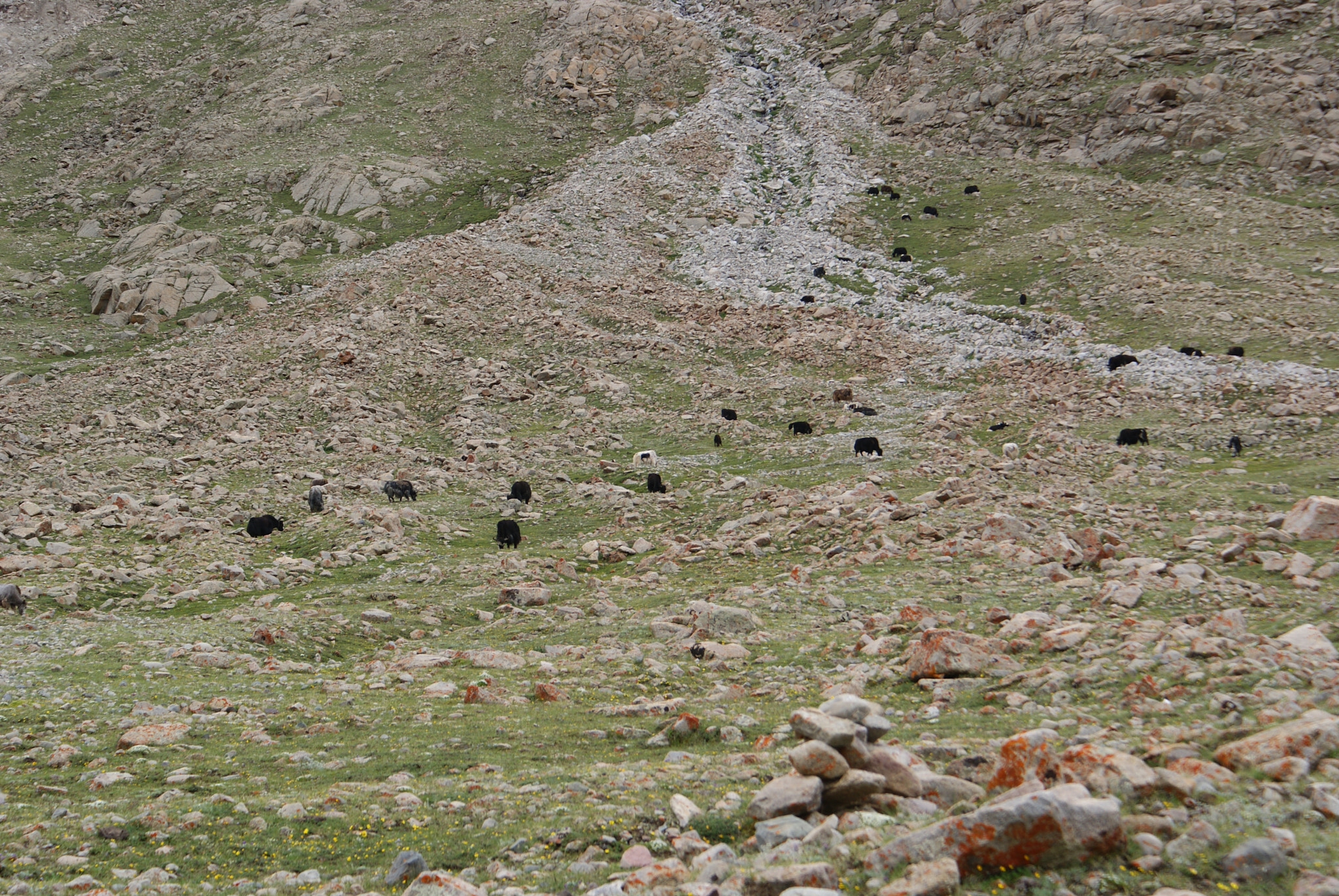 Sony DT 18-70mm F3.5-5.6 sample photo. Tibet photography