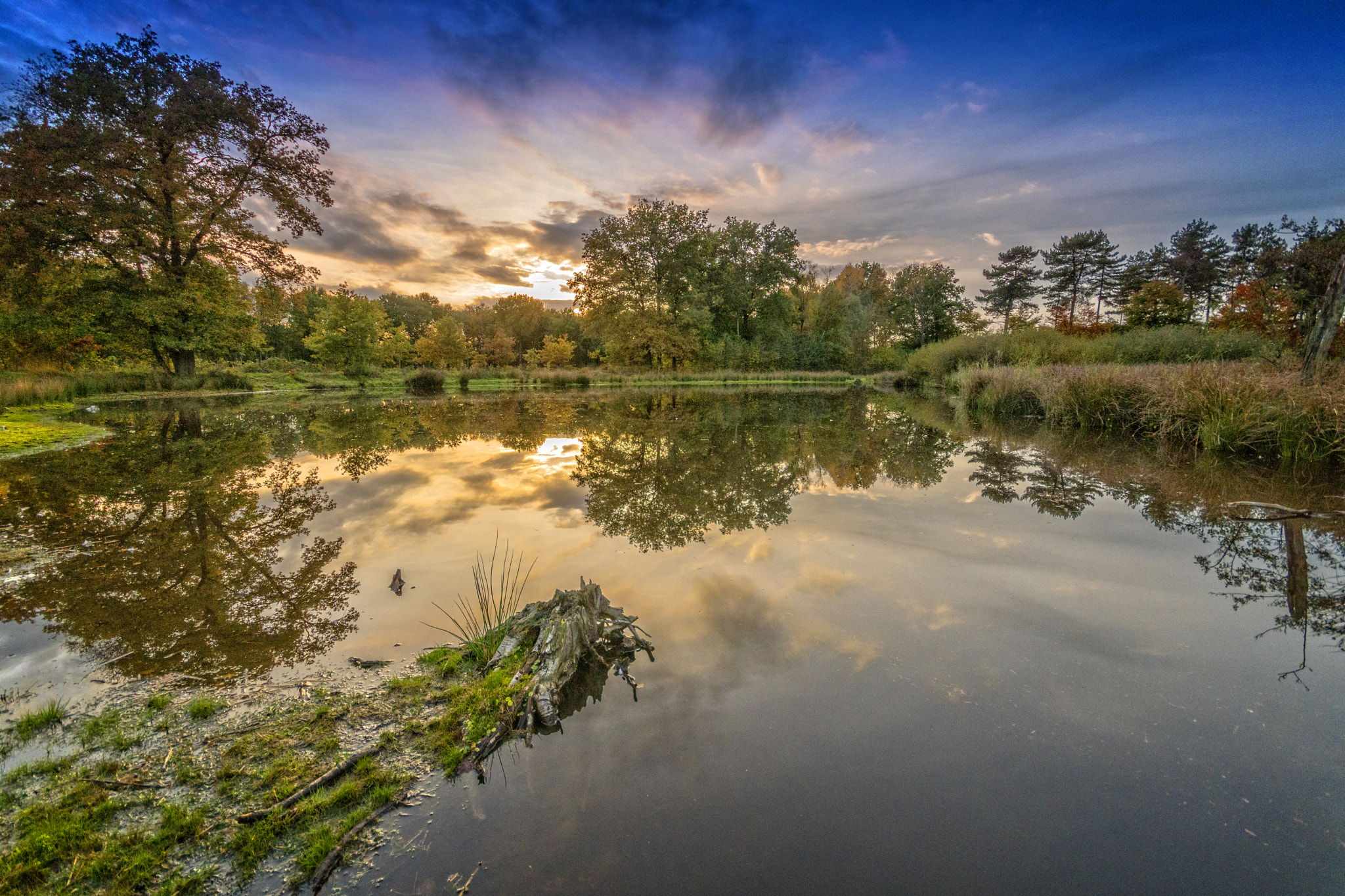 Sigma AF 10-20mm F4-5.6 EX DC sample photo. Maashorst photography