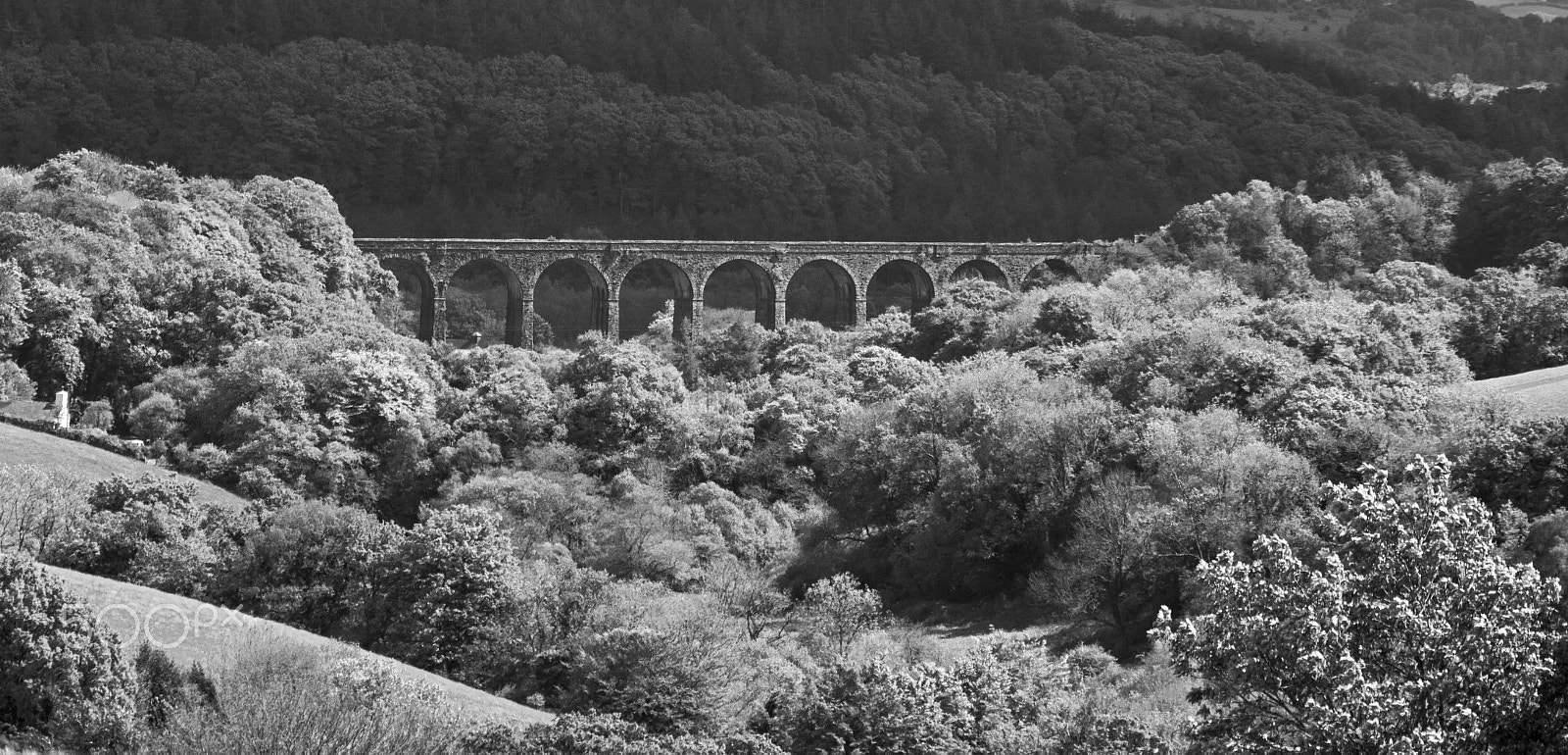 Sigma 150-500mm F5-6.3 DG OS HSM sample photo. Shillamill (grey scale) photography
