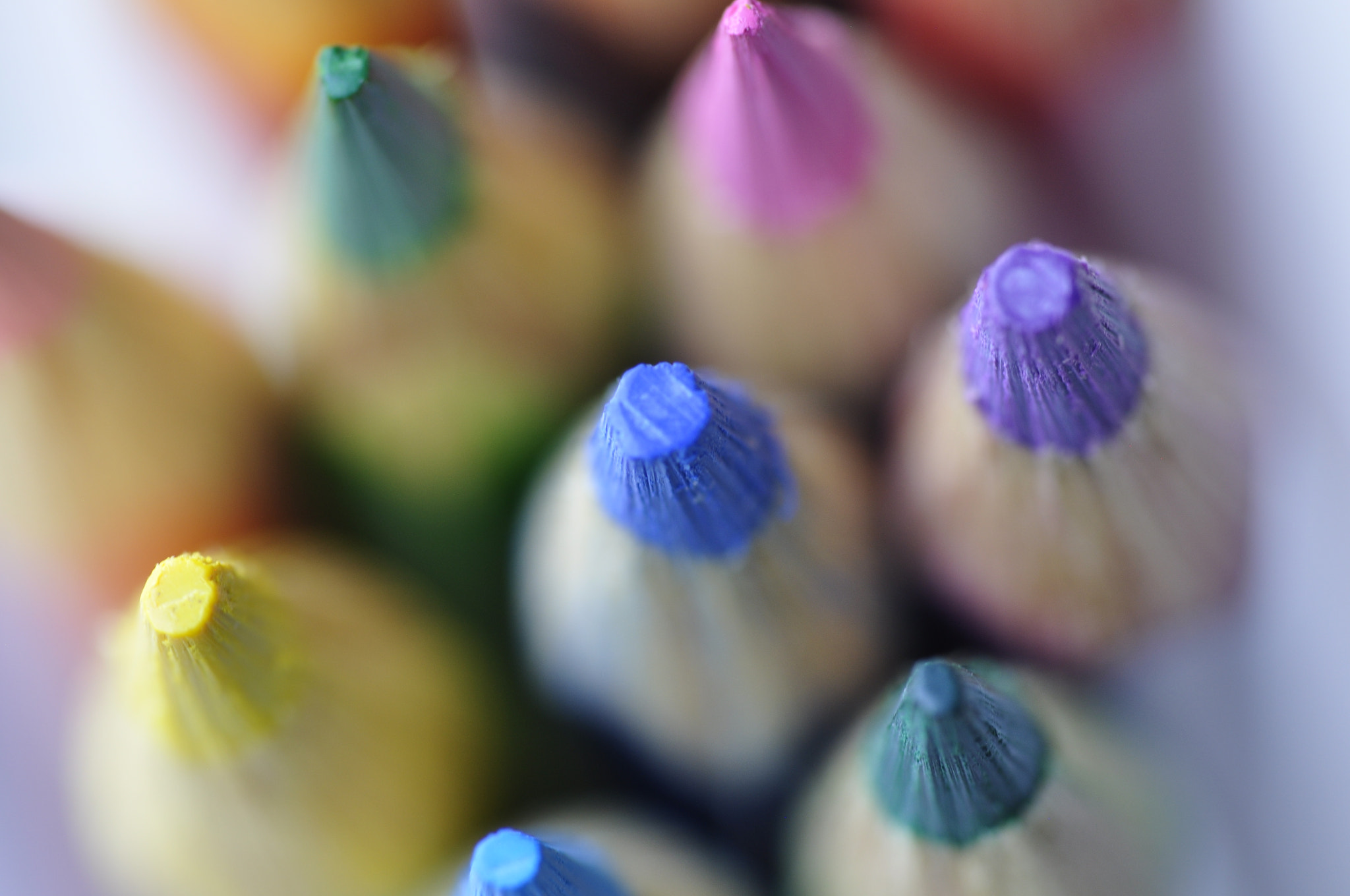 Sigma 105mm F2.8 EX DG OS HSM sample photo. Colourful photography