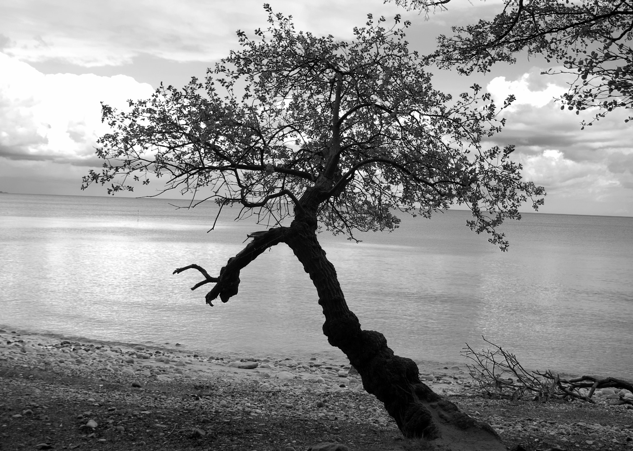 KONICA MINOLTA MAXXUM 5D sample photo. Serenity photography