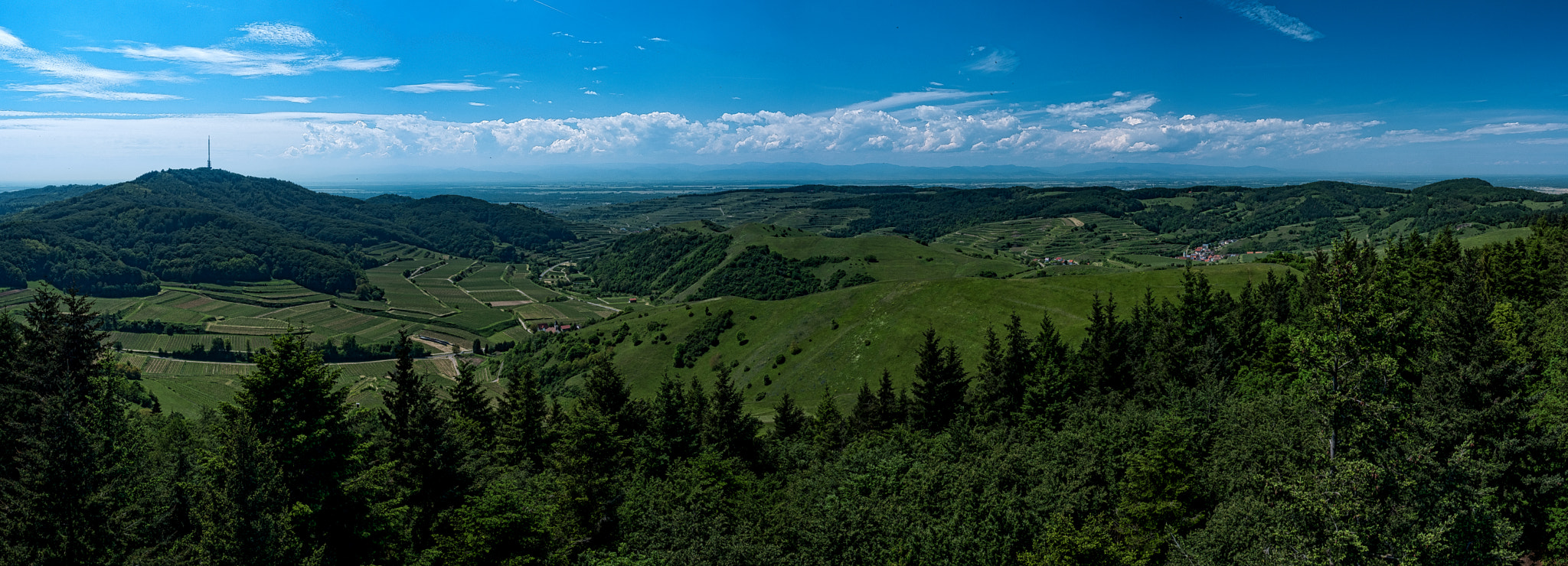 Olympus OM-D E-M5 II sample photo. Kaiserstuhl photography