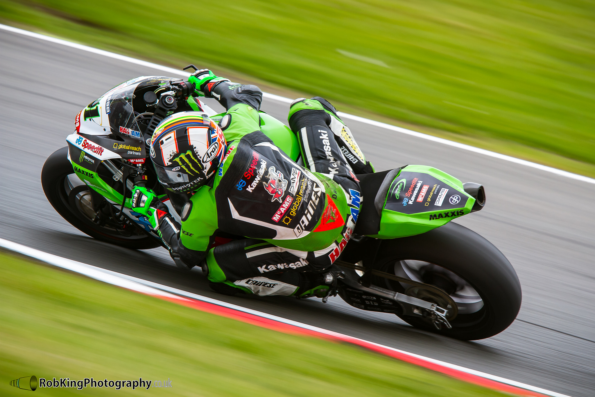 Canon EF 300mm F2.8L IS USM sample photo. Bsb 2016 photography