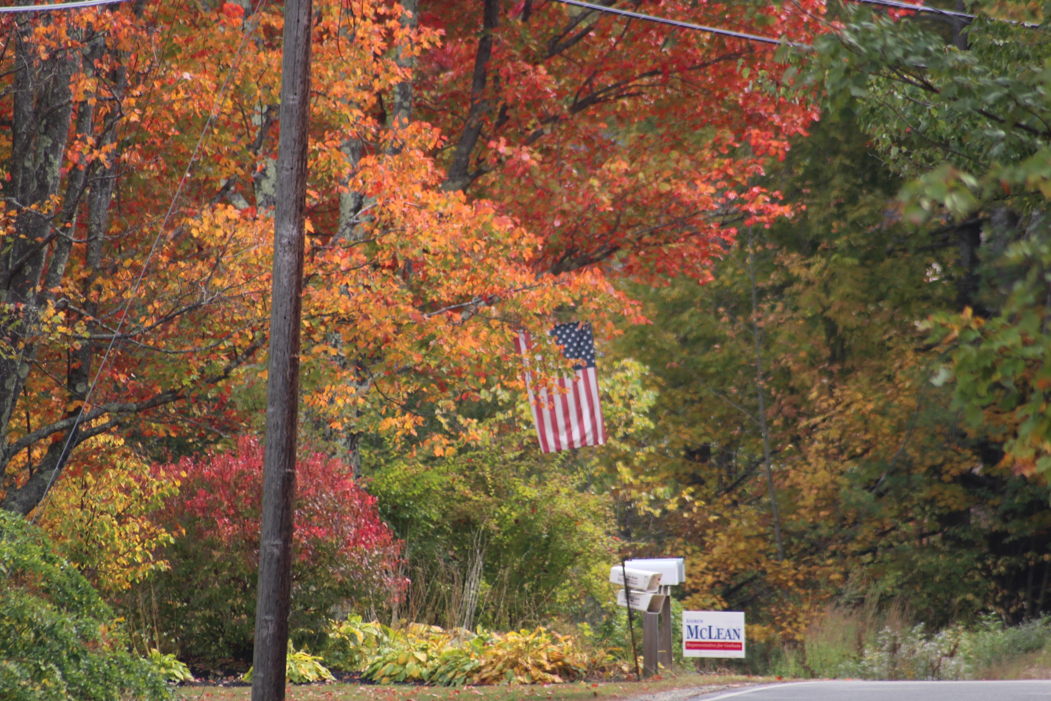 Sigma 70-300mm F4-5.6 APO DG Macro sample photo. Old glory amongst the fall colors photography