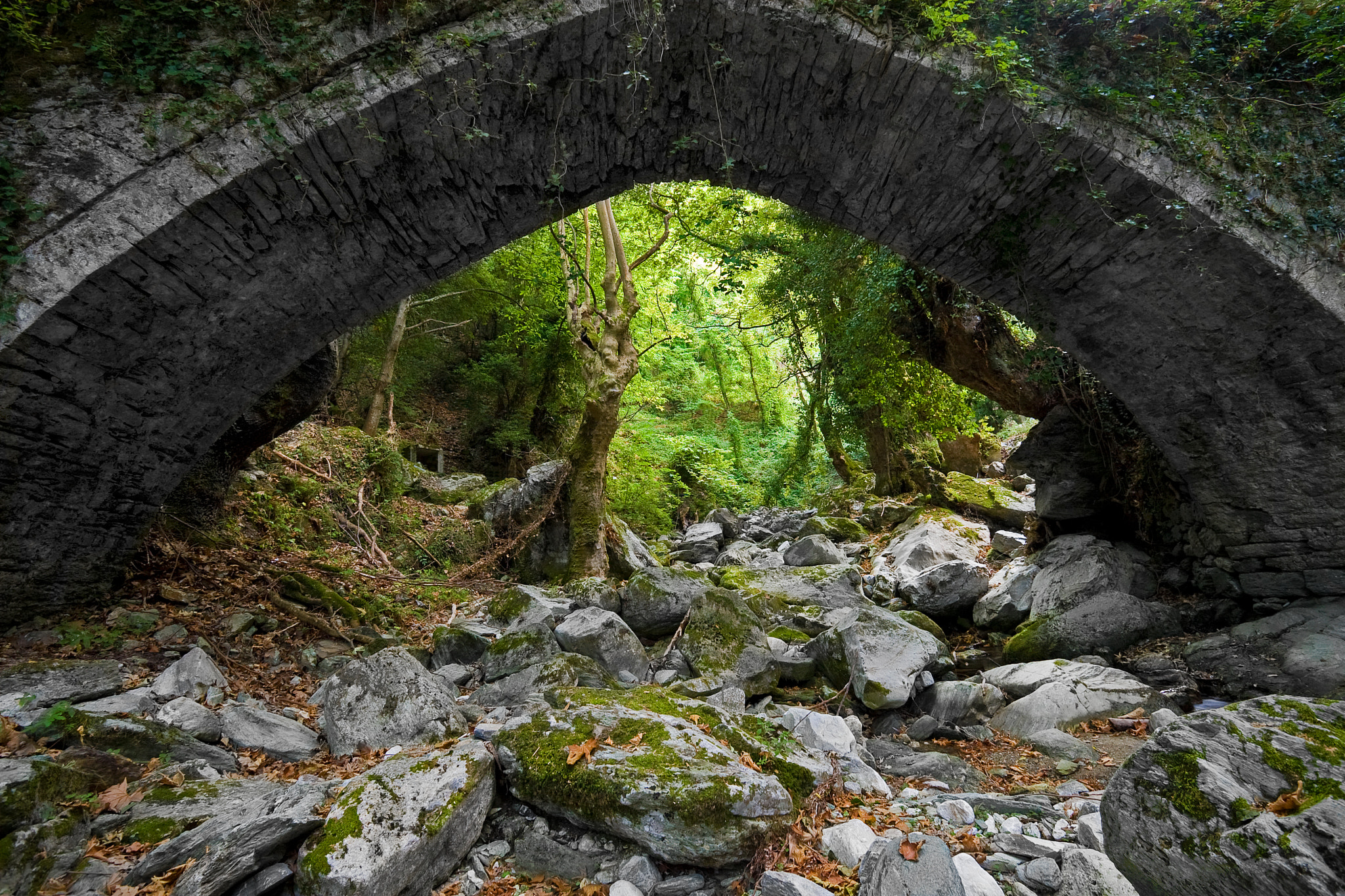 Canon EOS 30D sample photo. Hidden bridge photography