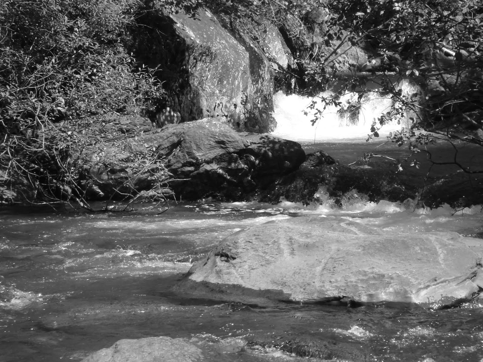 Sony DSC-T9 sample photo. Down by the river photography
