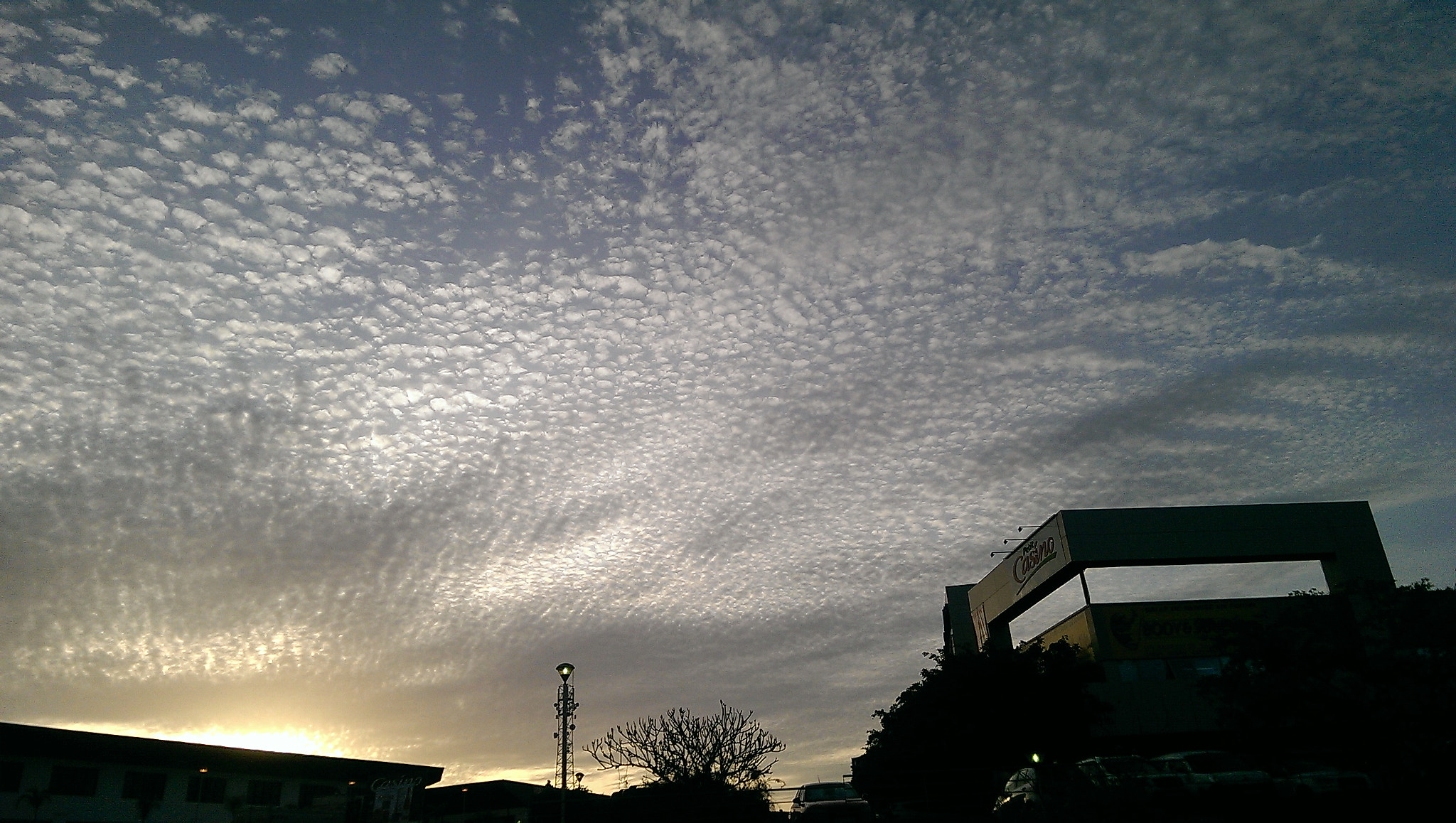 HTC ONE MINI sample photo