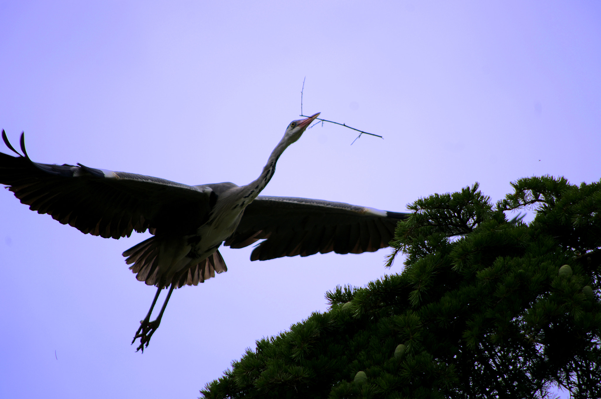 smc PENTAX-DA L 55-300mm F4-5.8 ED sample photo