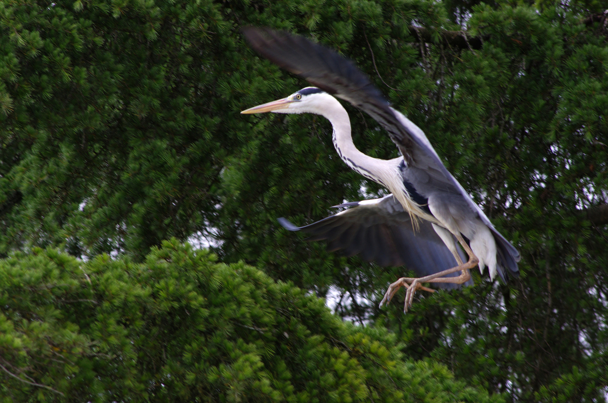 smc PENTAX-DA L 55-300mm F4-5.8 ED sample photo