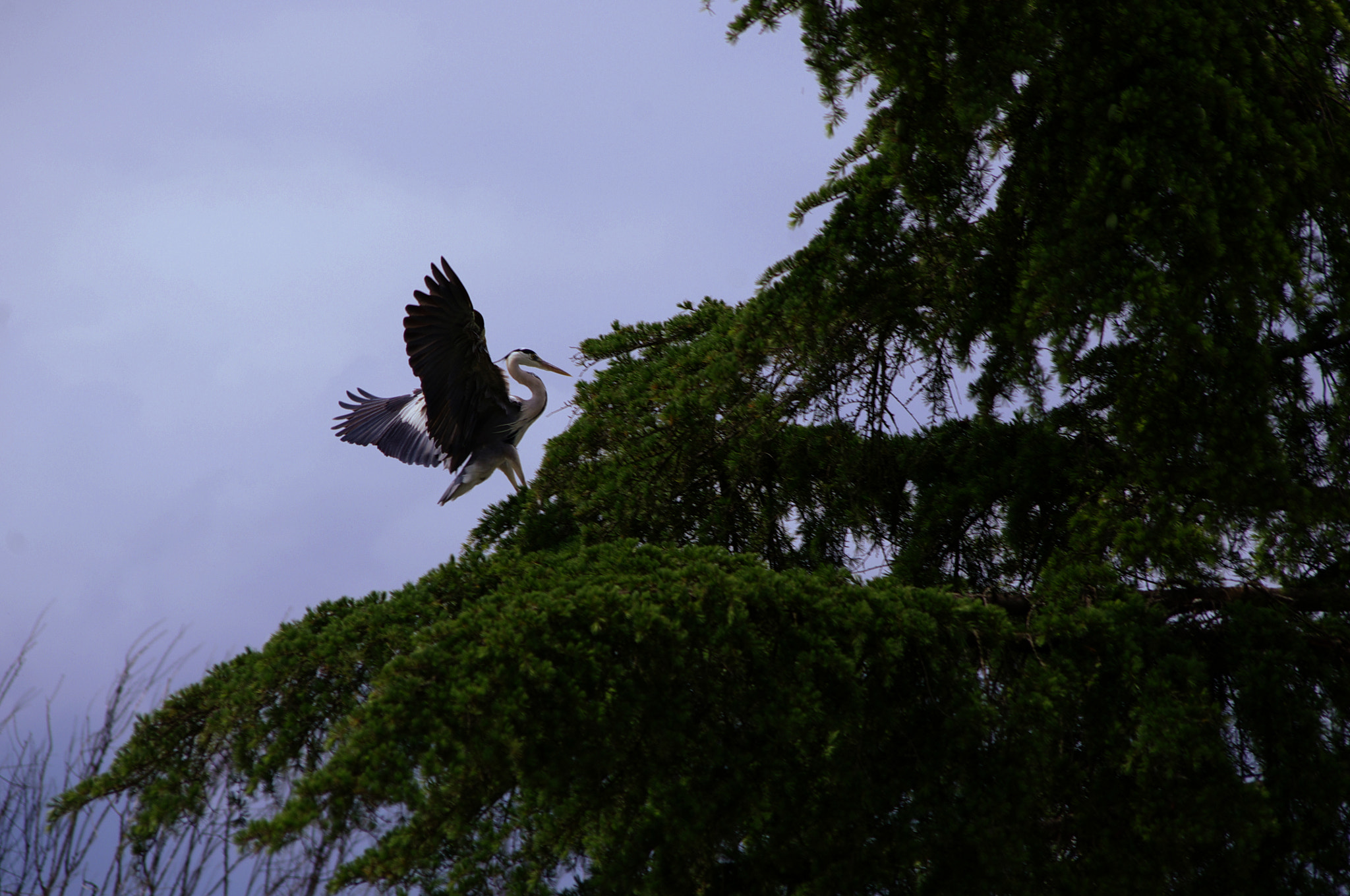 smc PENTAX-DA L 55-300mm F4-5.8 ED sample photo