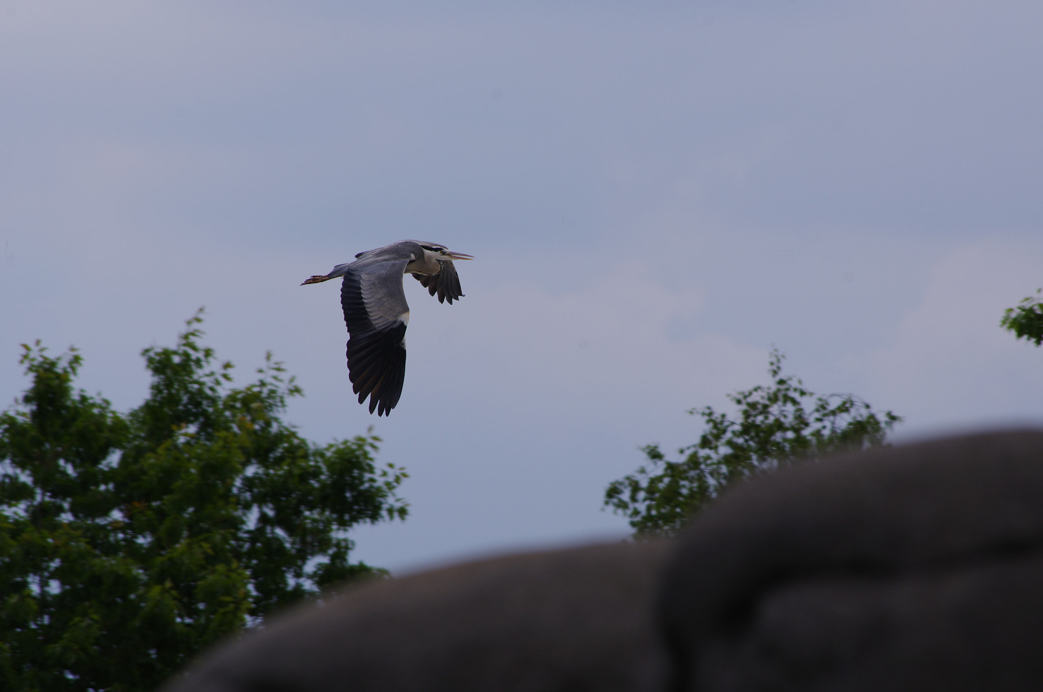 smc PENTAX-DA L 55-300mm F4-5.8 ED sample photo