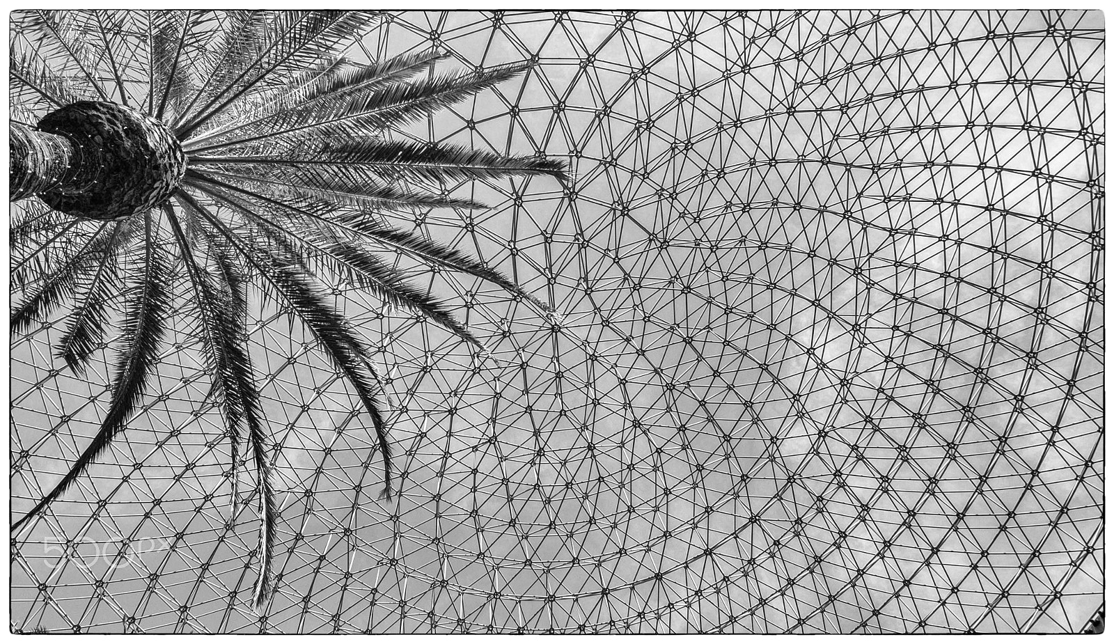 Canon EF-S 10-22mm F3.5-4.5 USM sample photo. Trapped in the lattice photography