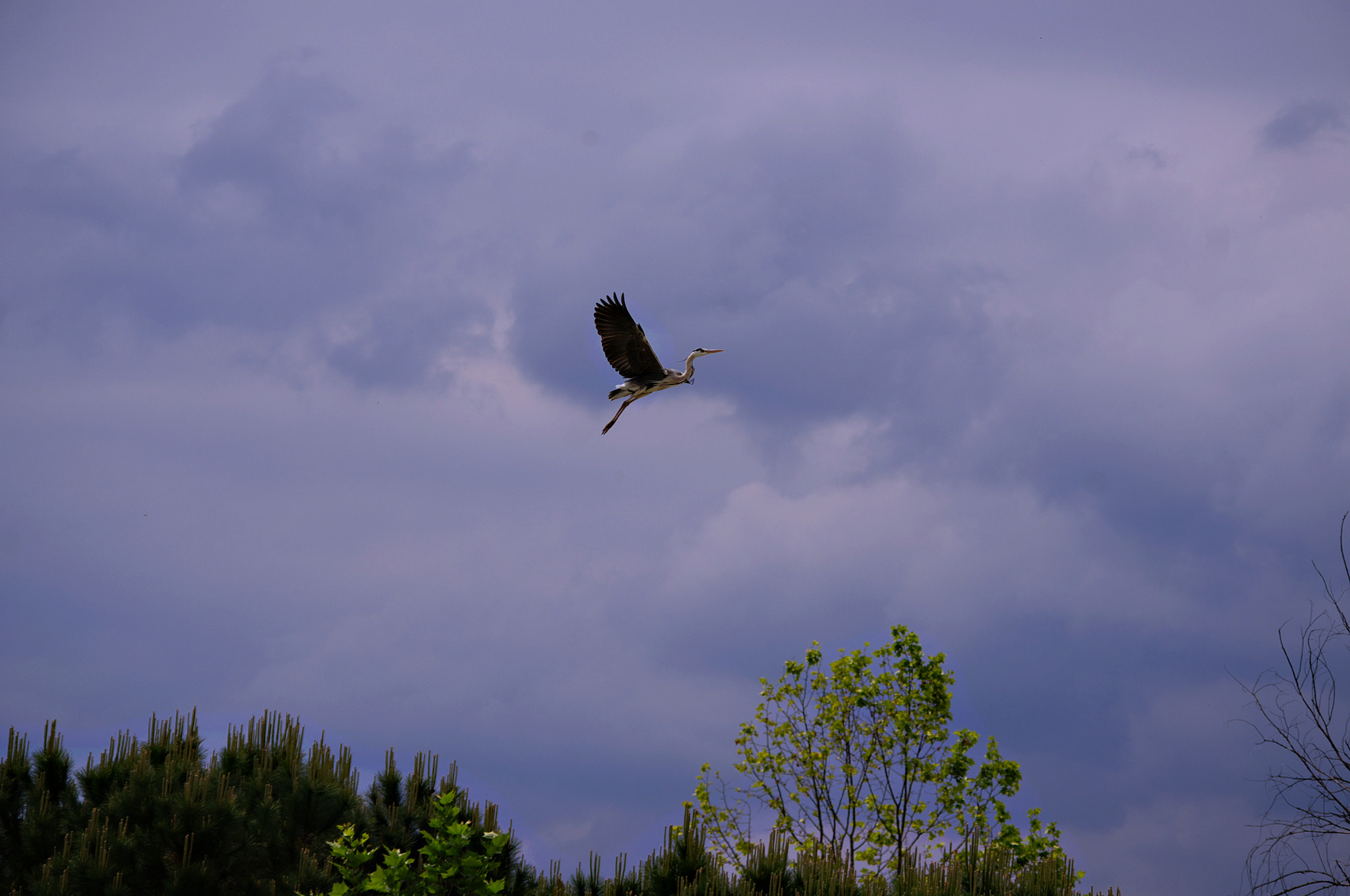 smc PENTAX-DA L 55-300mm F4-5.8 ED sample photo