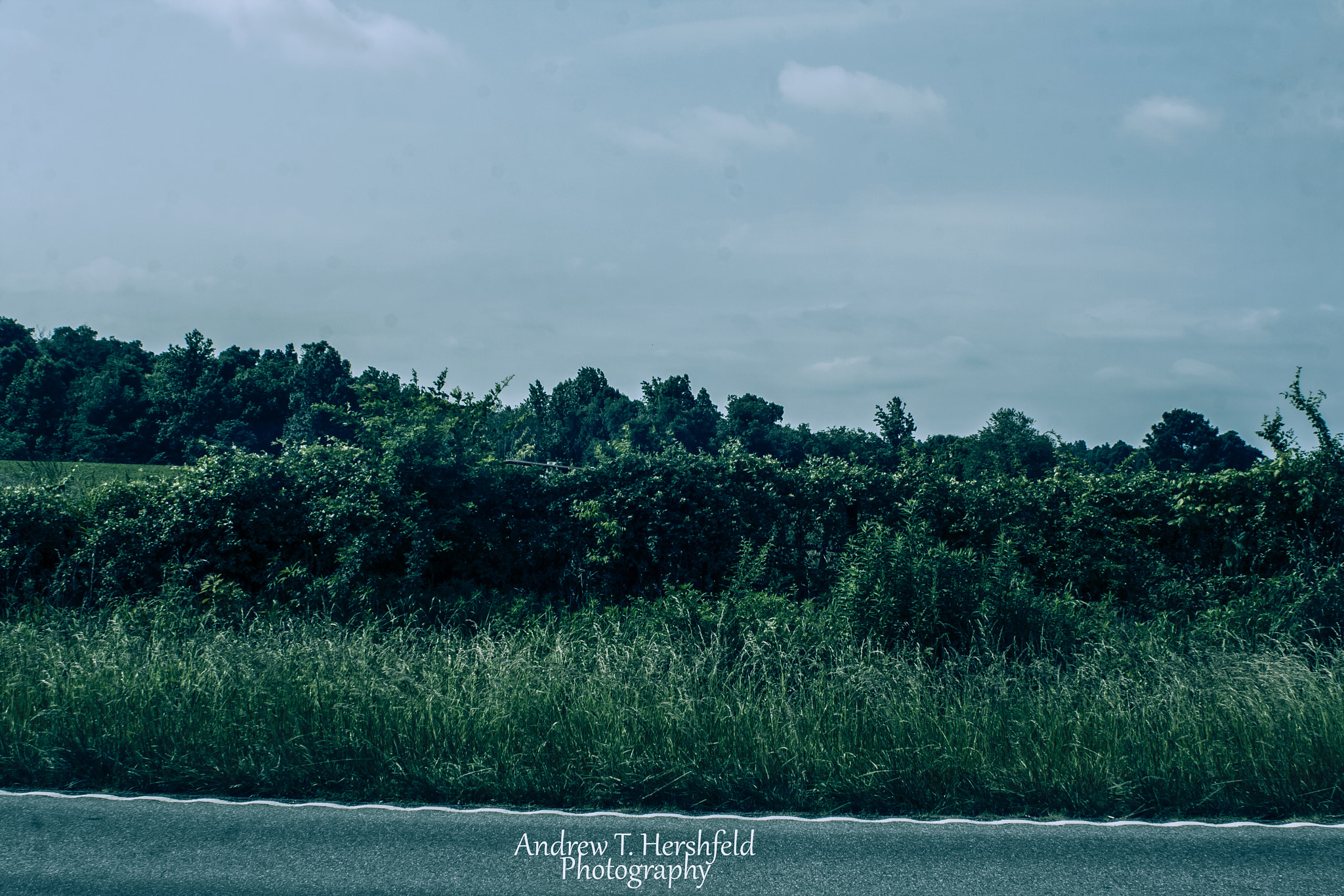 Canon EF 28-80mm f/3.5-5.6 sample photo. Hidden fence photography