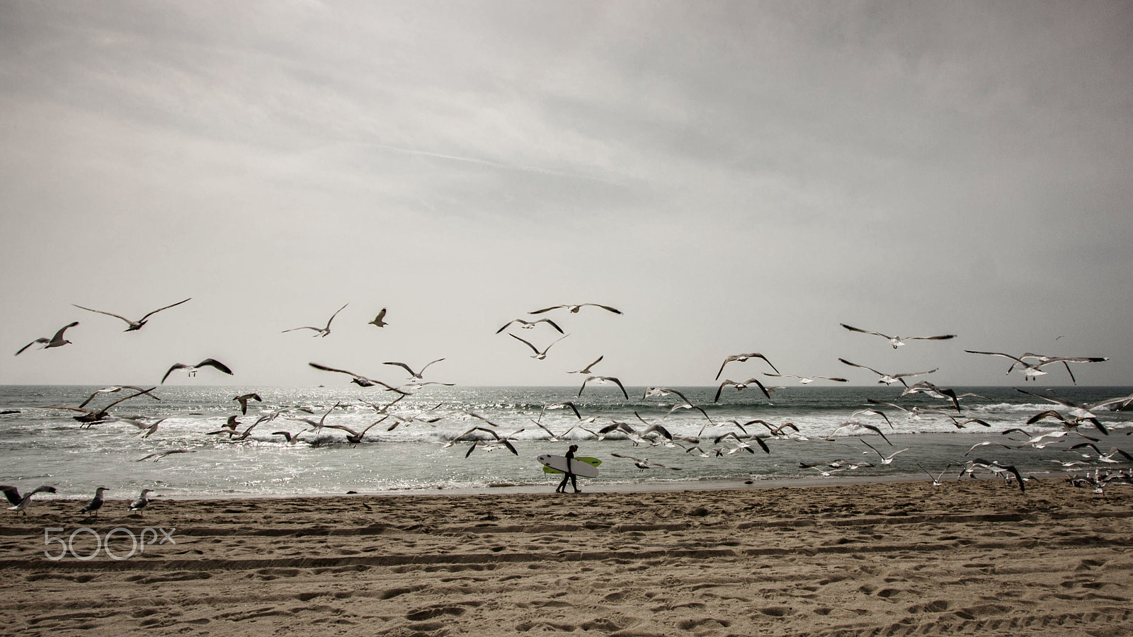 Canon EF-S 10-22mm F3.5-4.5 USM sample photo. Surfin' usa photography