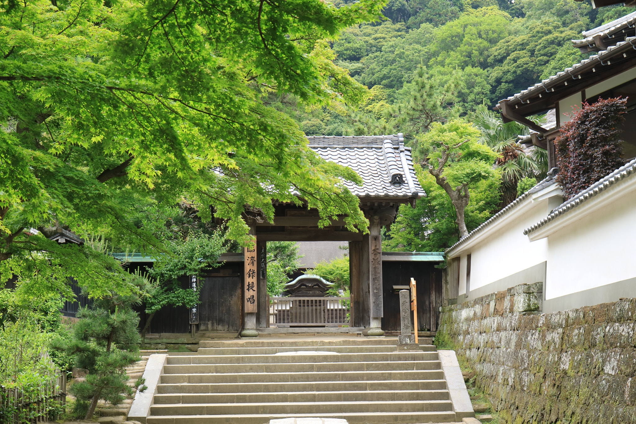 Canon EOS M3 sample photo. The back of the temple photography