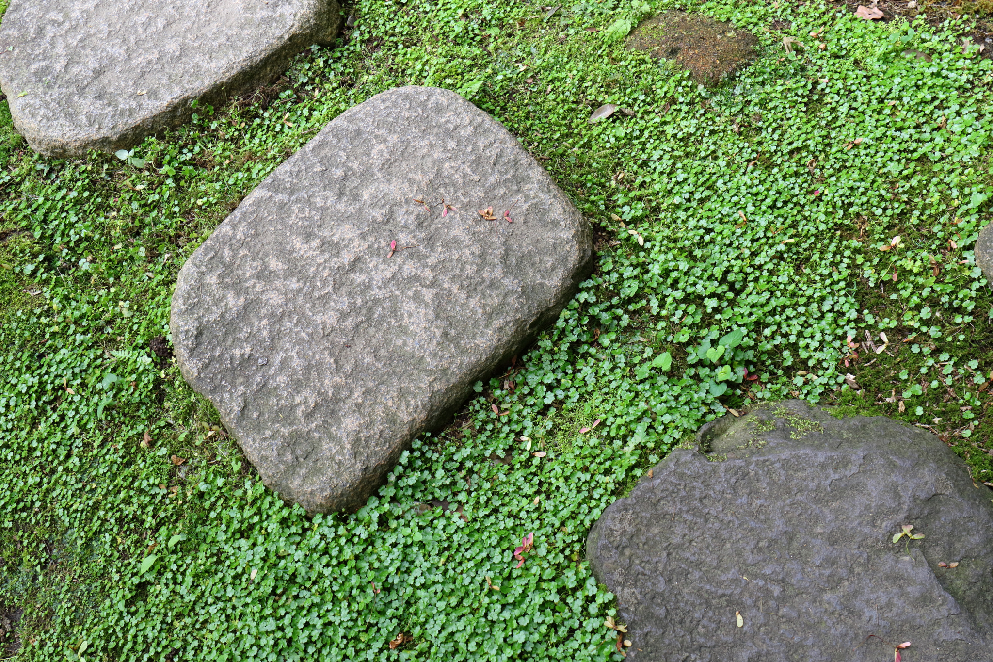 Canon EOS M3 sample photo. Step photography