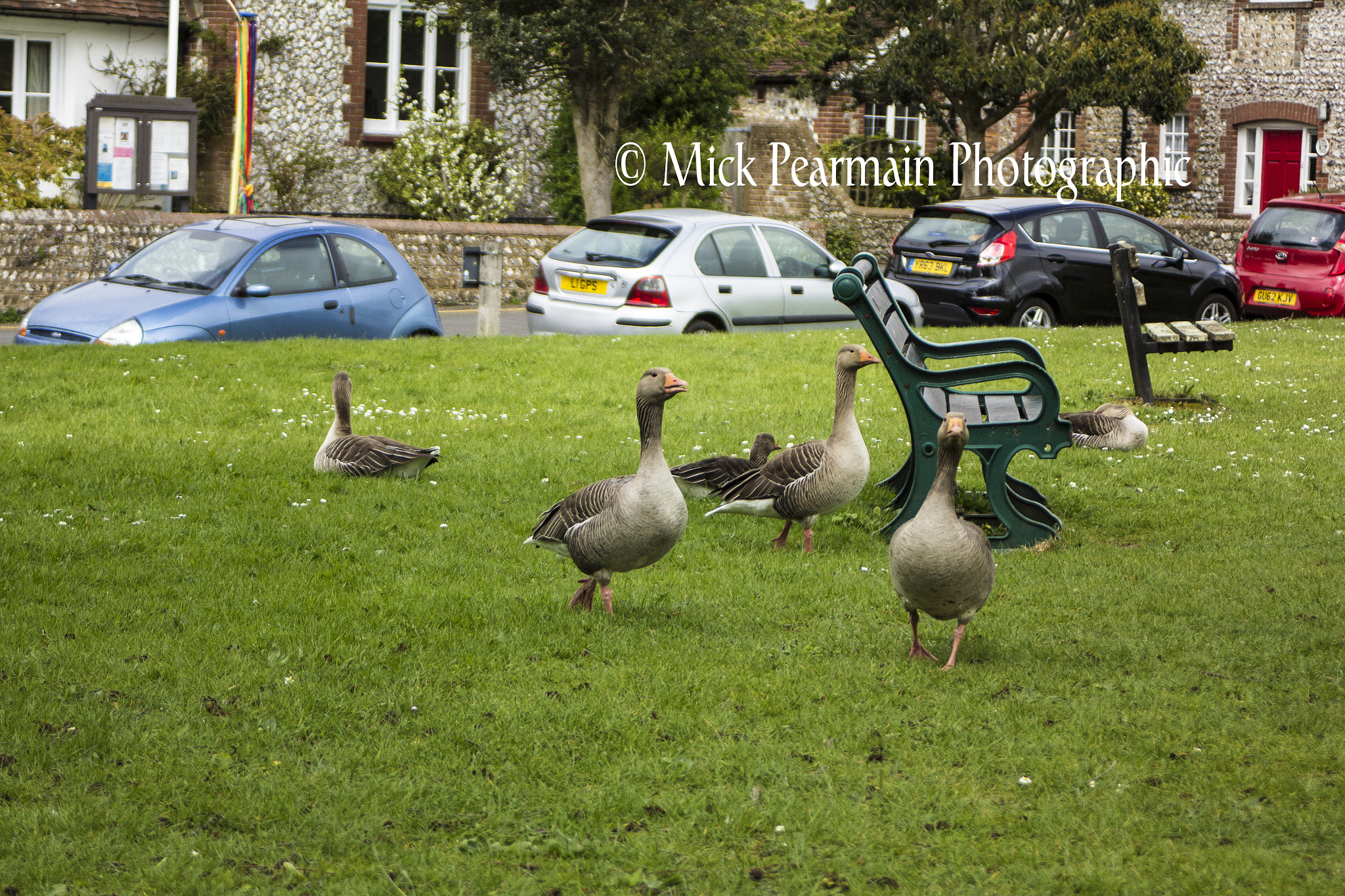 Canon EF 28-80mm f/3.5-5.6 USM IV sample photo. Run lads photography
