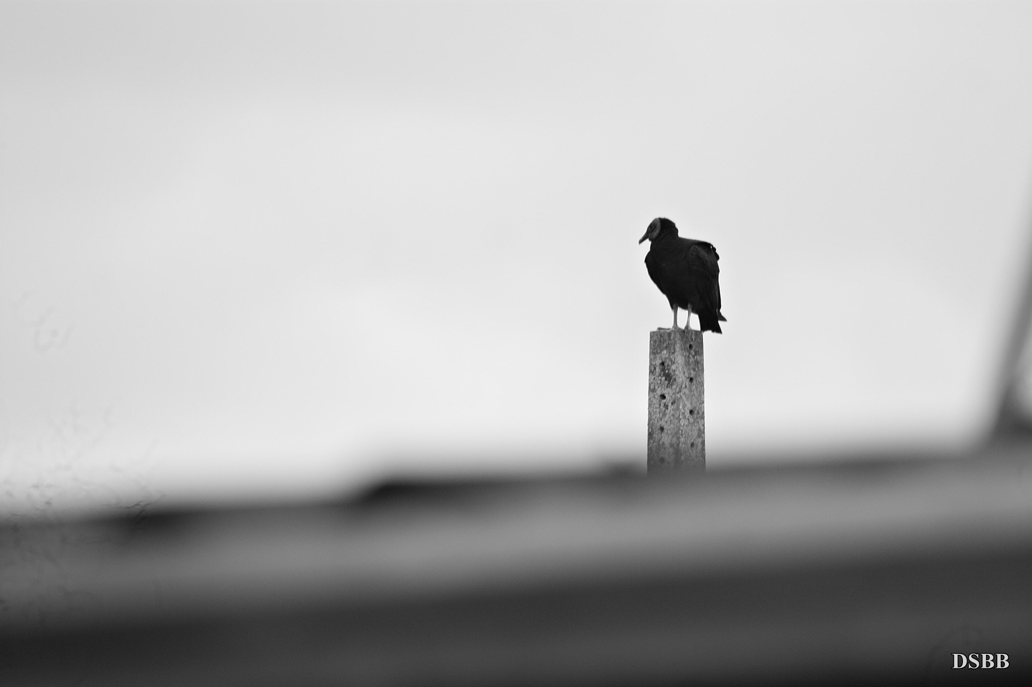 Canon EF 75-300mm f/4-5.6 USM sample photo. Cloudy day photography