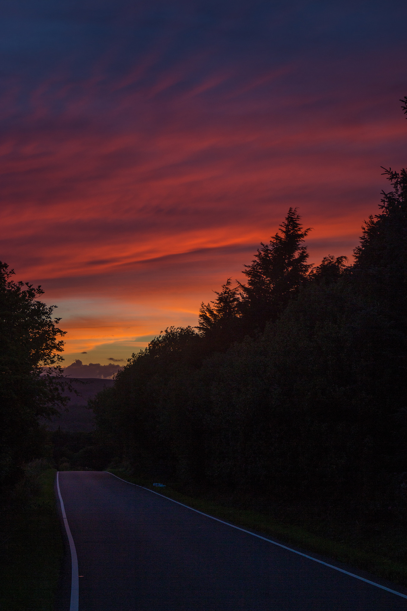 Canon EOS 700D (EOS Rebel T5i / EOS Kiss X7i) + Canon EF 16-35mm F4L IS USM sample photo. Road sunset photography