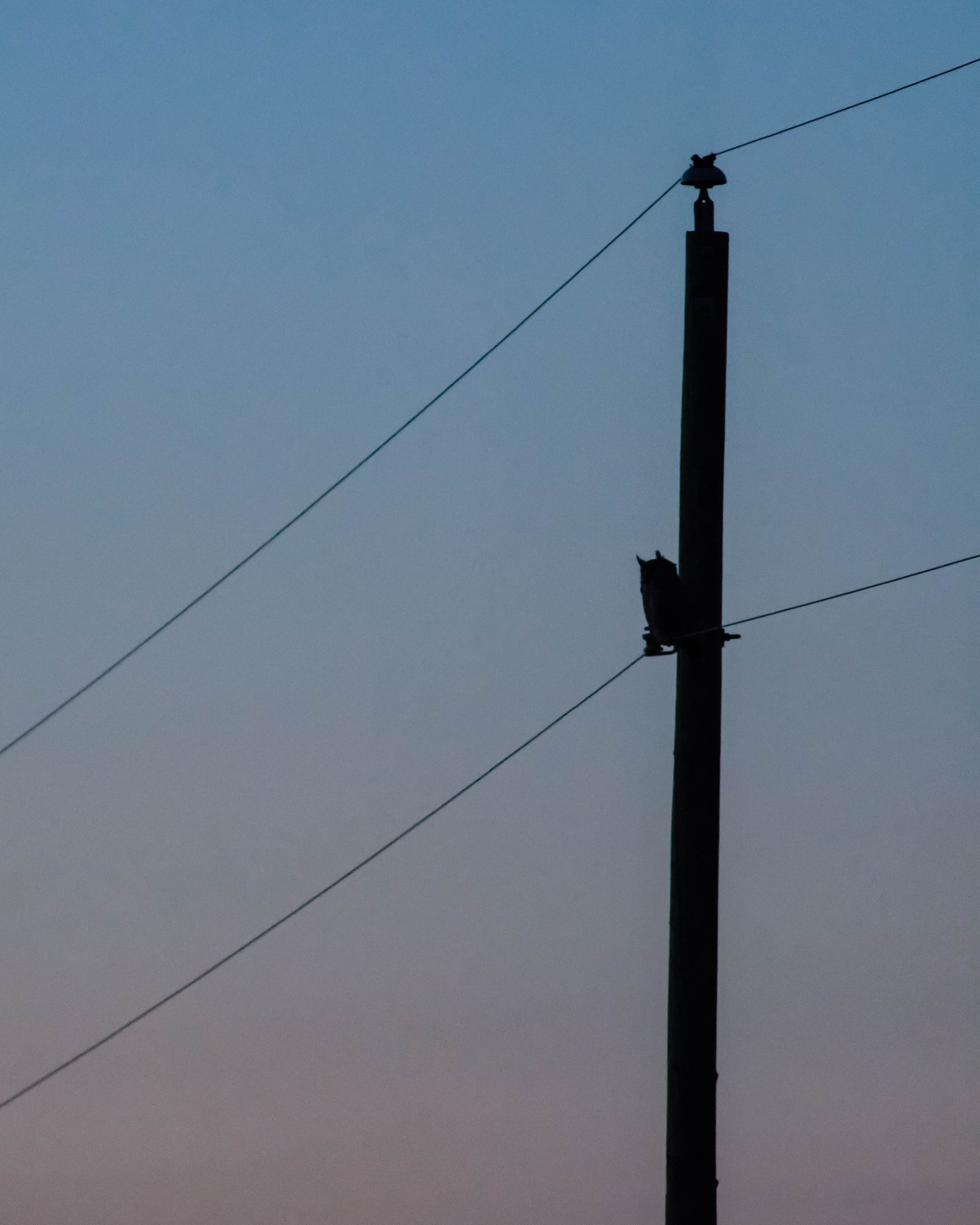AF Zoom-Nikkor 75-300mm f/4.5-5.6 sample photo. Night watch photography