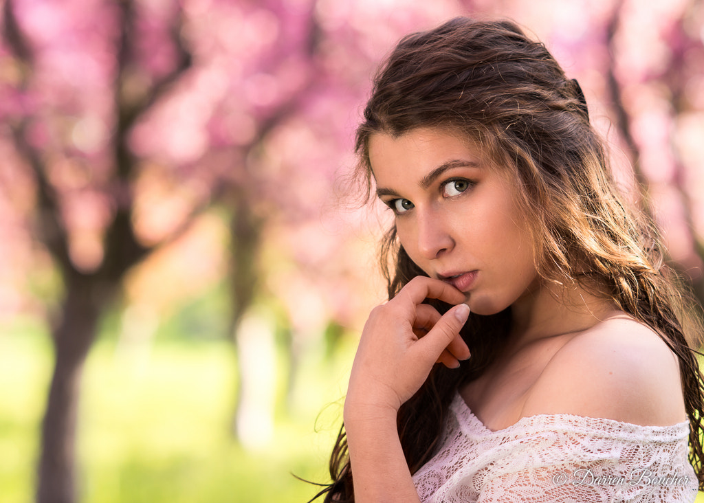 AF DC-Nikkor 135mm f/2D sample photo. In the blossoms photography