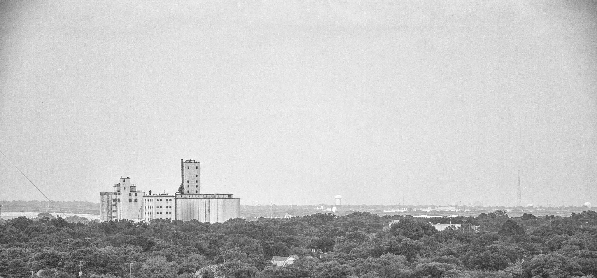 Canon EOS-1Ds Mark II + Canon EF 70-200mm F4L USM sample photo. Fort worth photography