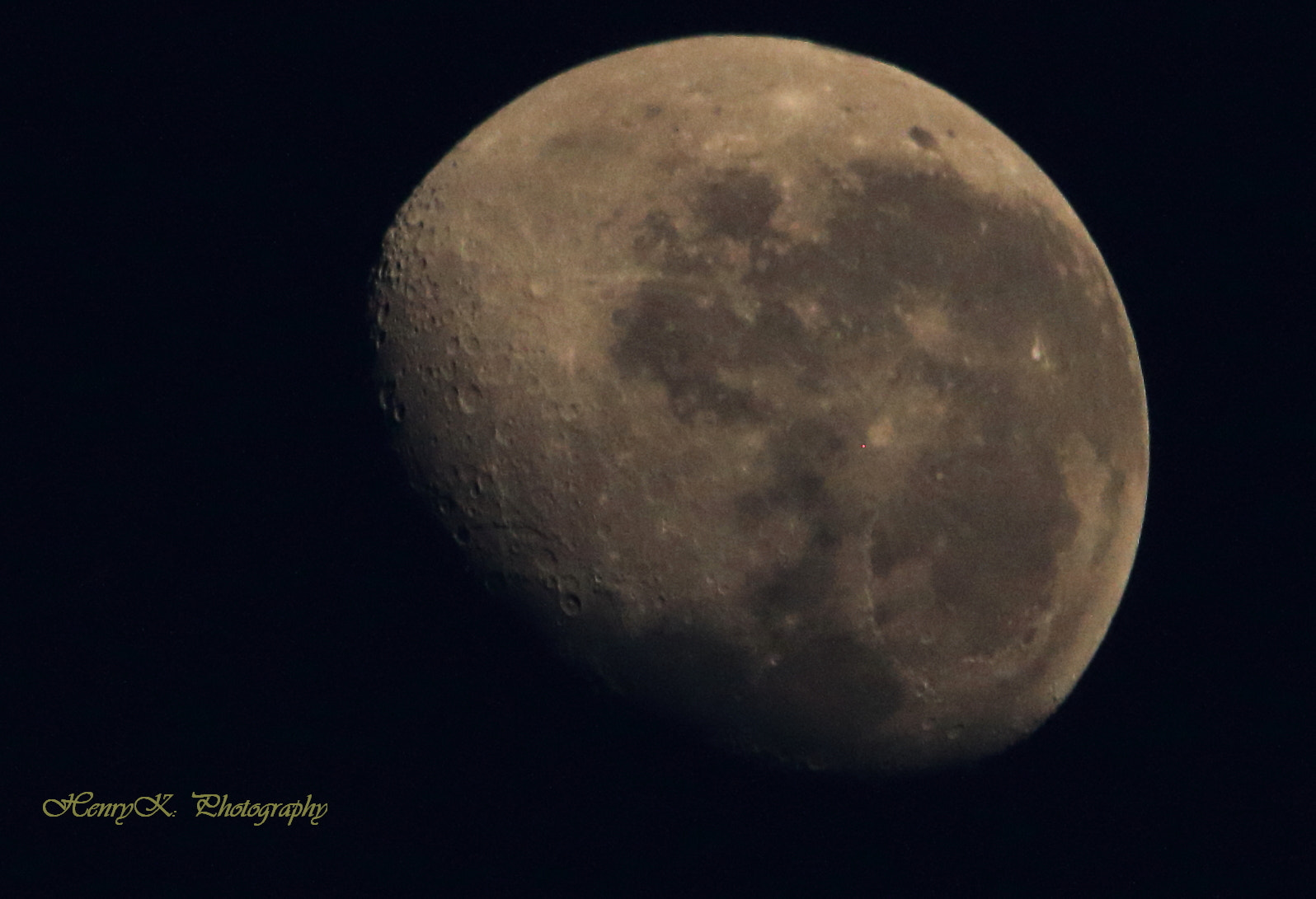 Canon 150-500mm sample photo. Not falling yet photography