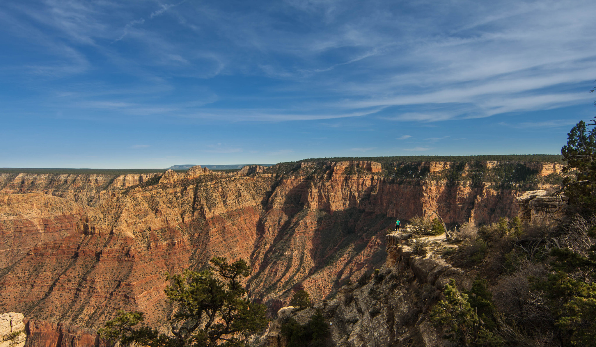 Canon EOS 40D + Canon EF 14mm F2.8L II USM sample photo. Grand canyon national park photography