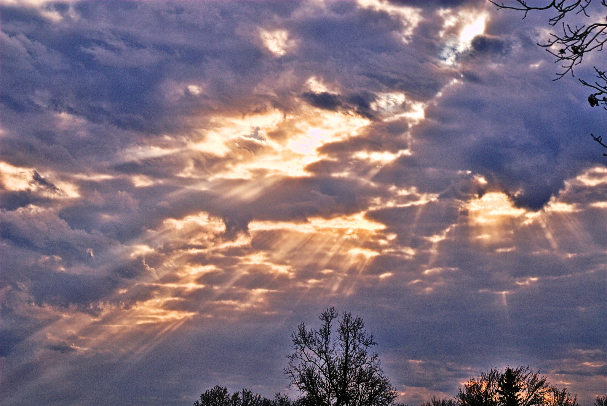 Nikon D200 + AF Zoom-Nikkor 35-70mm f/3.3-4.5 sample photo. Purple sky - golden light photography