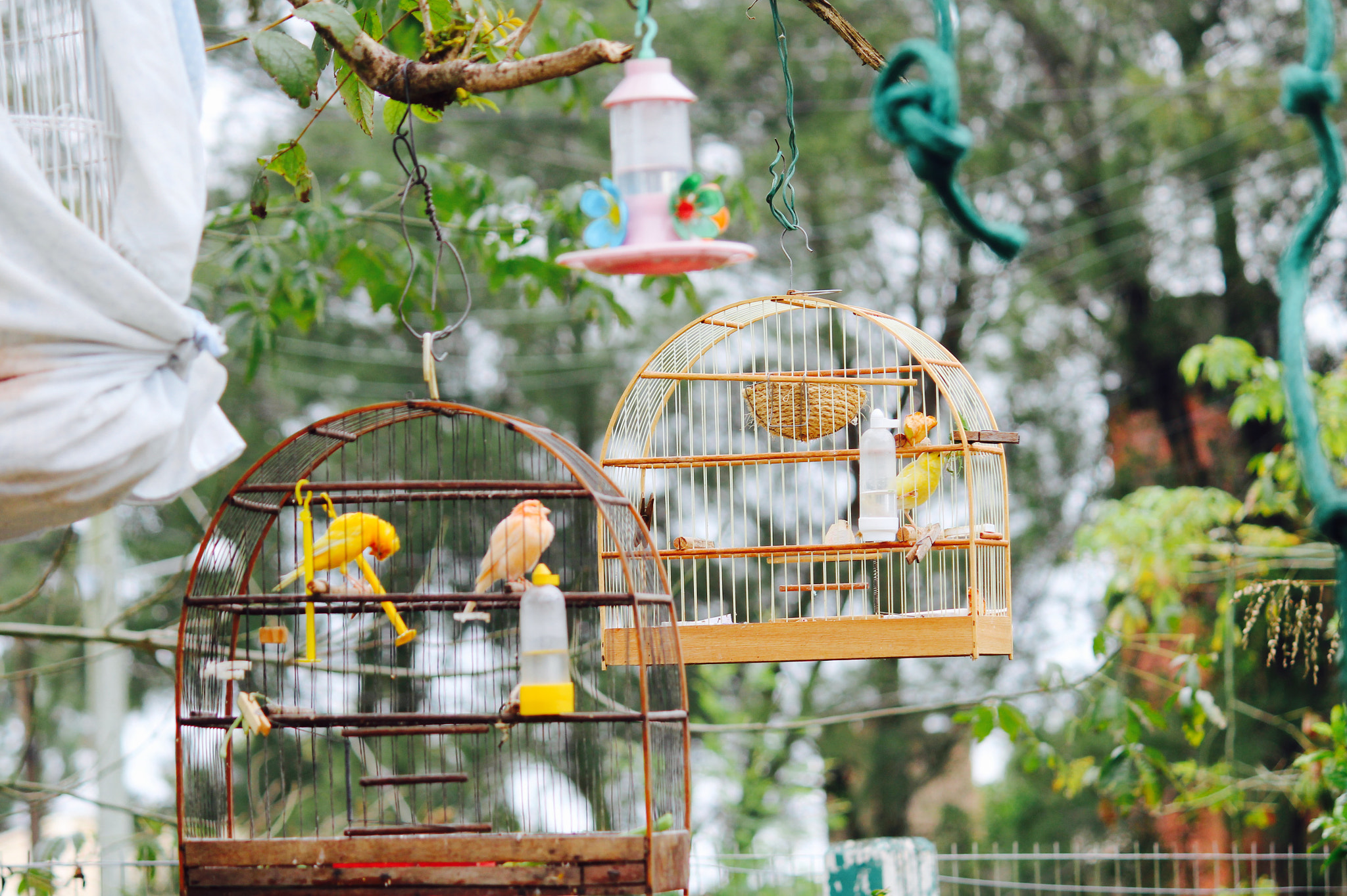 Canon EF-S 55-250mm F4-5.6 IS II sample photo