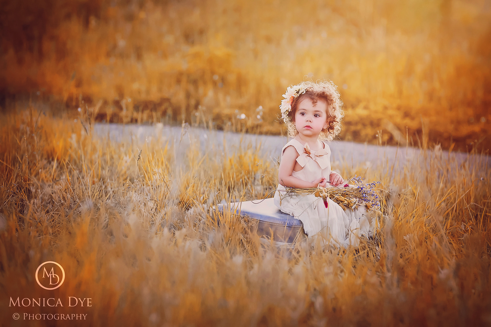Canon EOS 5D + Canon EF 85mm F1.2 sample photo. Golden sunset photography
