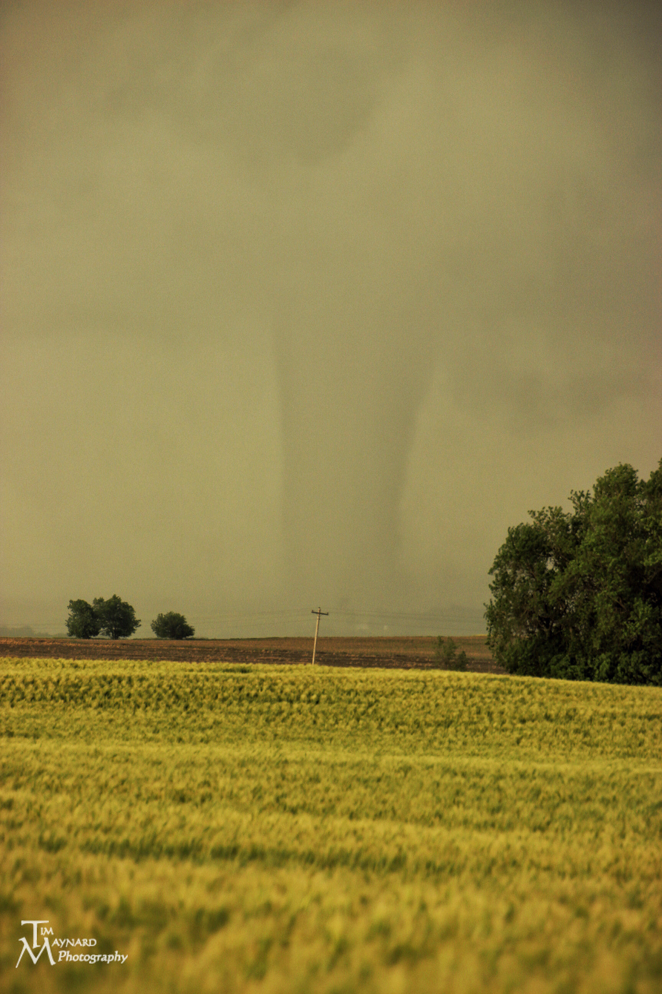 Canon EOS 600D (Rebel EOS T3i / EOS Kiss X5) + Canon 18-270mm sample photo. Force of nature: twister ii photography