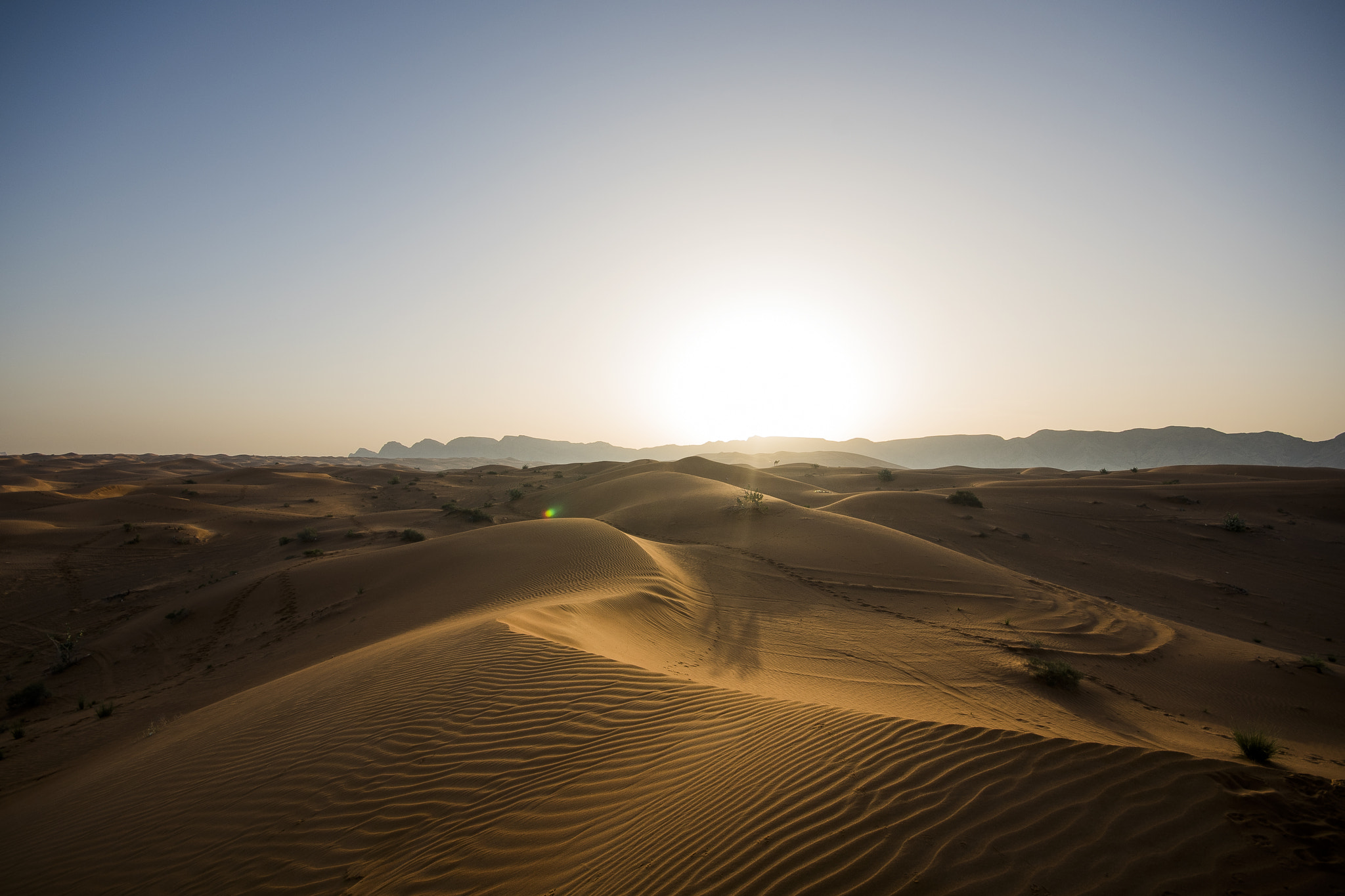 Sigma 10-20mm F4-5.6 EX DC HSM sample photo. Desert morning photography