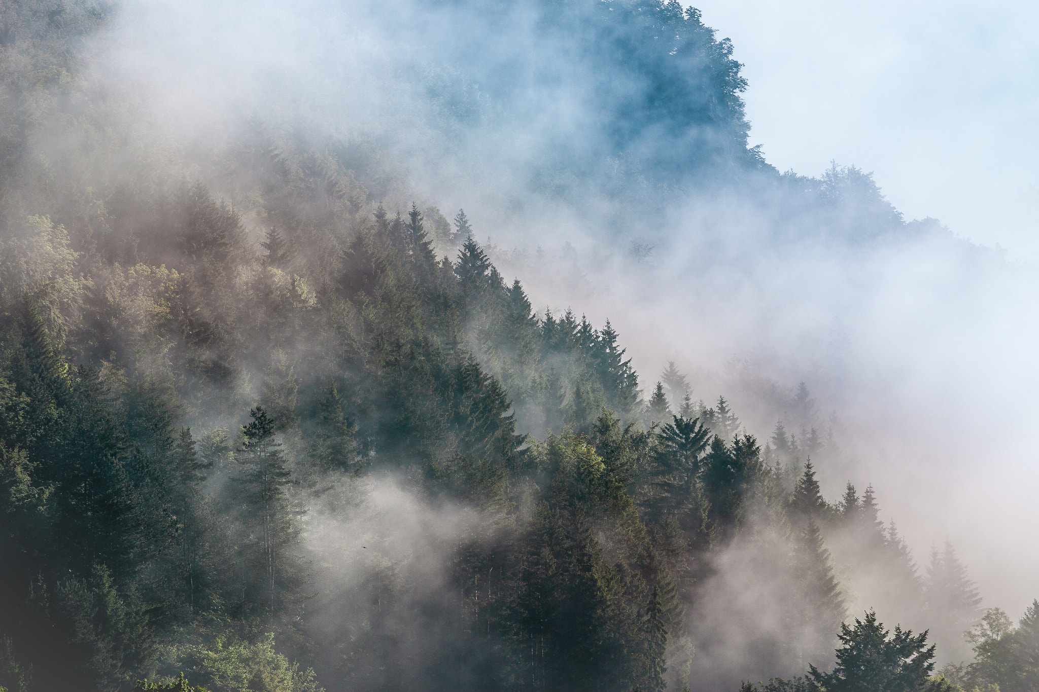 Canon EOS 50D + Canon EF 200mm F2.8L II USM sample photo. Misty mountain photography