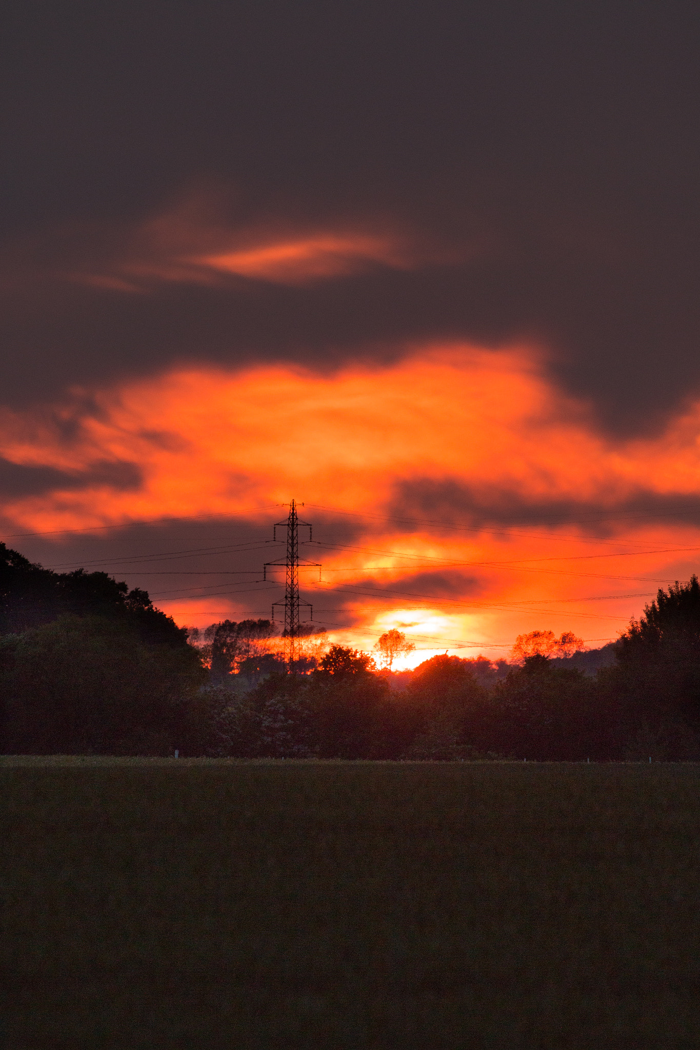Canon EF 100-400mm F4.5-5.6L IS II USM sample photo. My way home from work photography