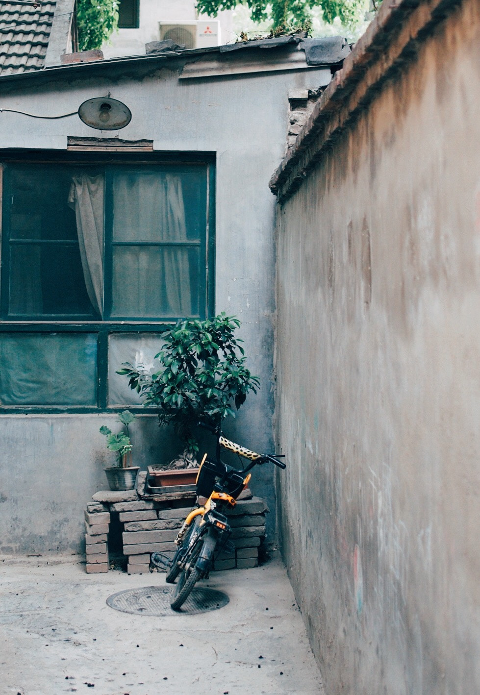 Olympus PEN E-P5 + Panasonic Leica DG Summilux 25mm F1.4 II ASPH sample photo