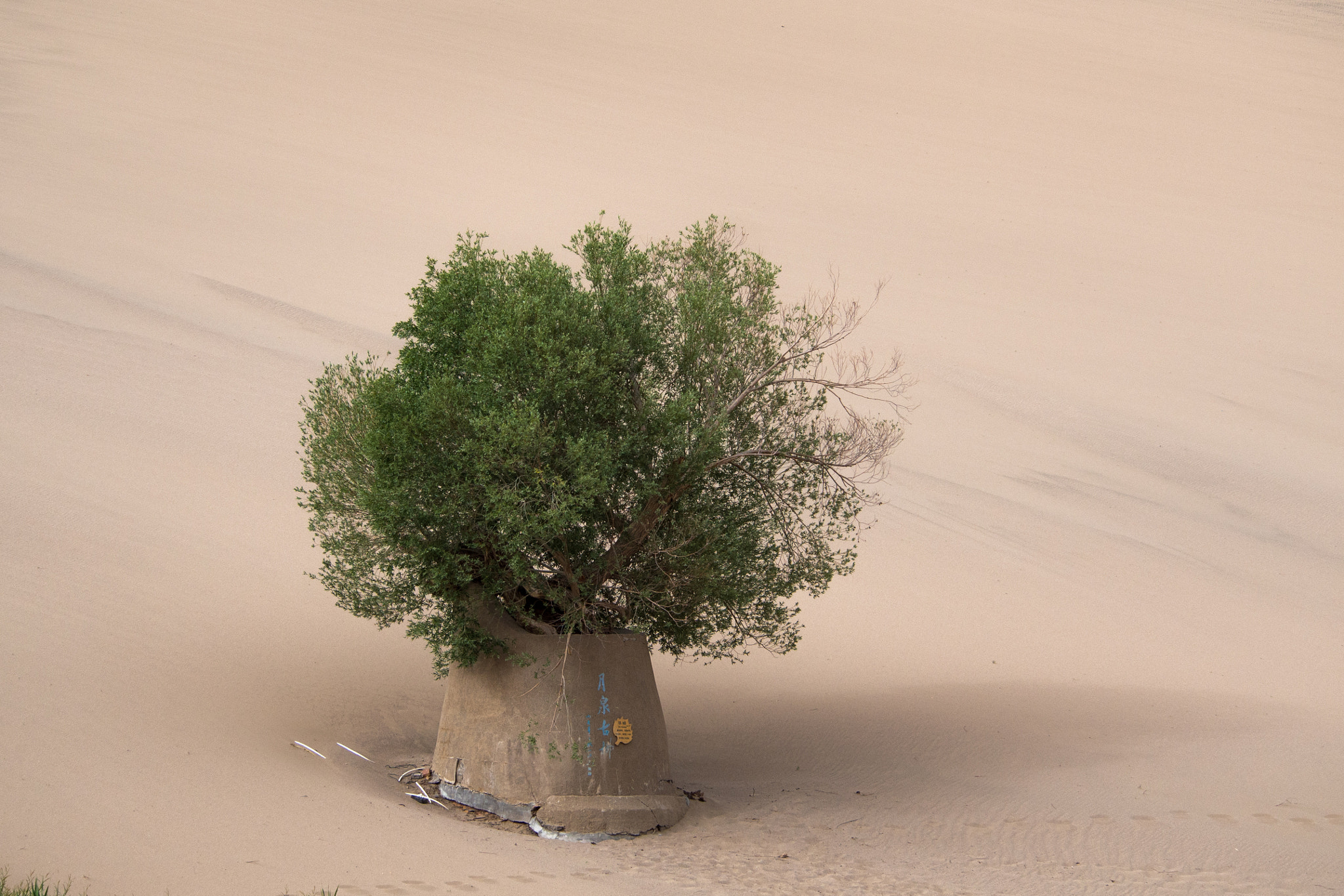 Olympus PEN E-PM2 sample photo. Desert photography