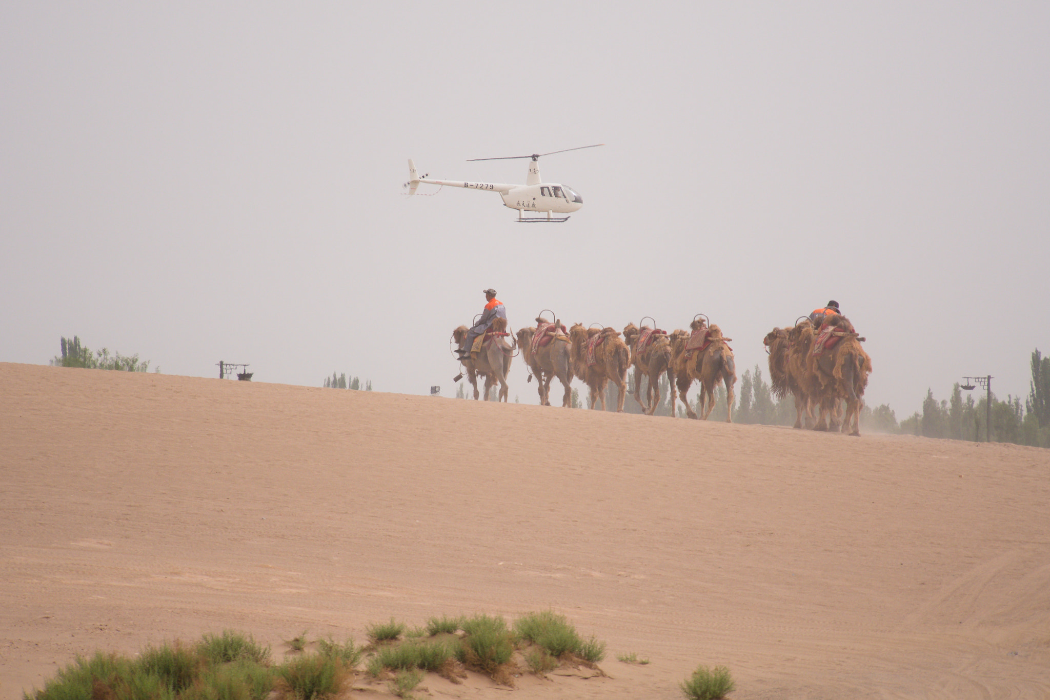 Olympus PEN E-PM2 sample photo. Camel and desert photography