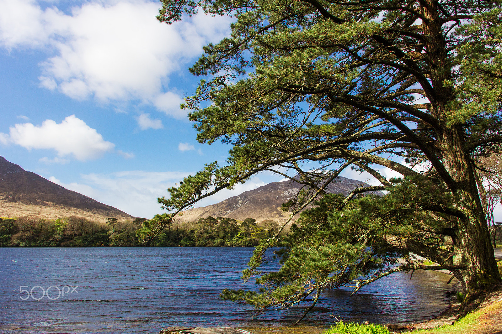 Sigma 18-125mm F3.8-5.6 DC OS HSM sample photo. Lake view photography