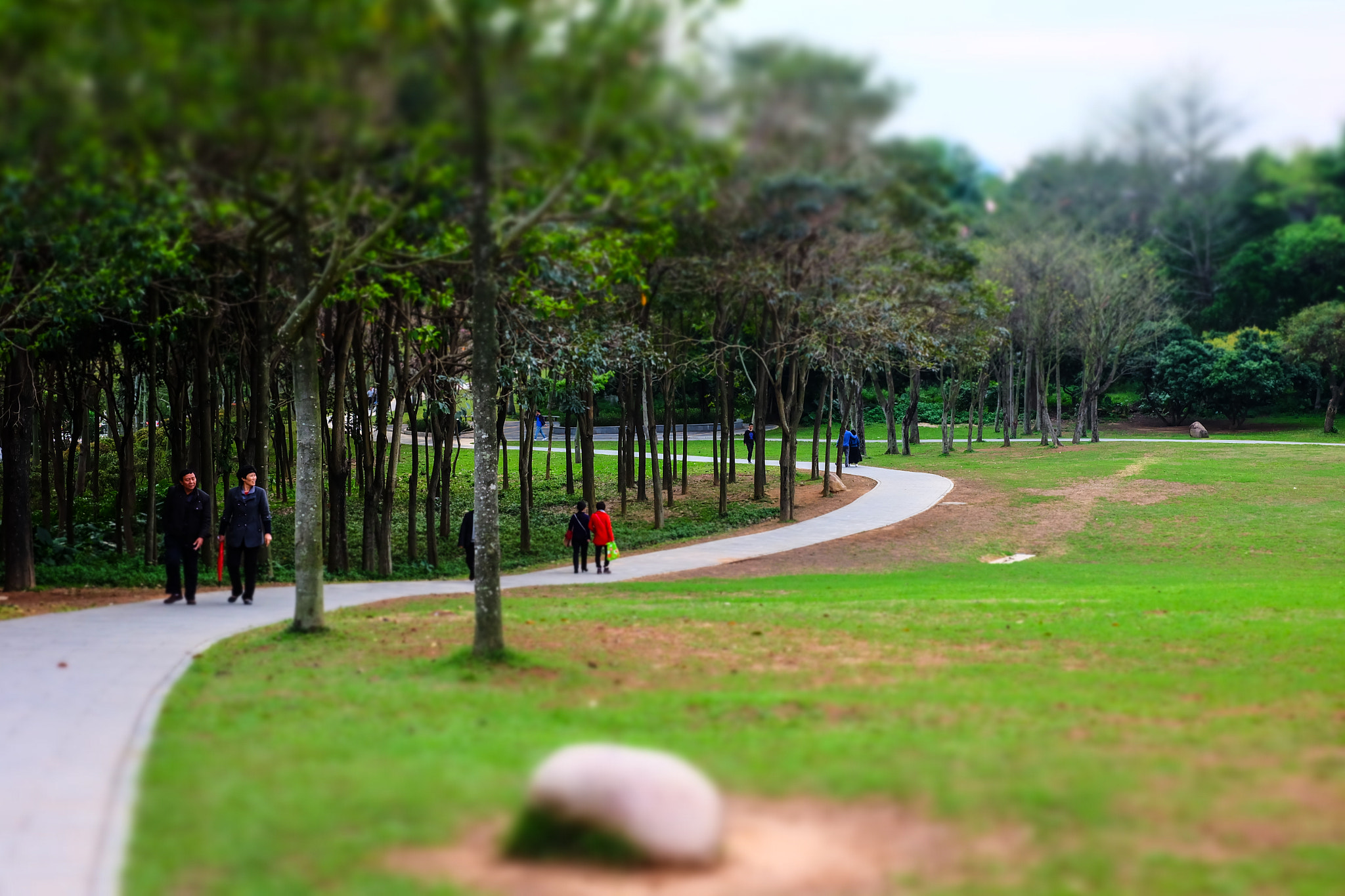 Fujifilm X-A1 sample photo. Endless road photography