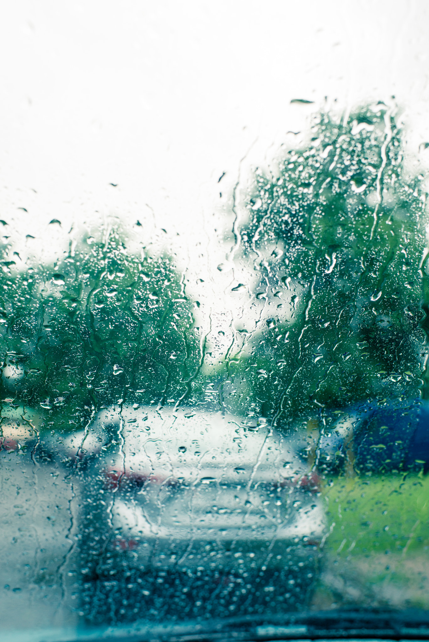 Nikon D800E + Nikon AF-S Nikkor 35mm F1.4G sample photo. Rain photography