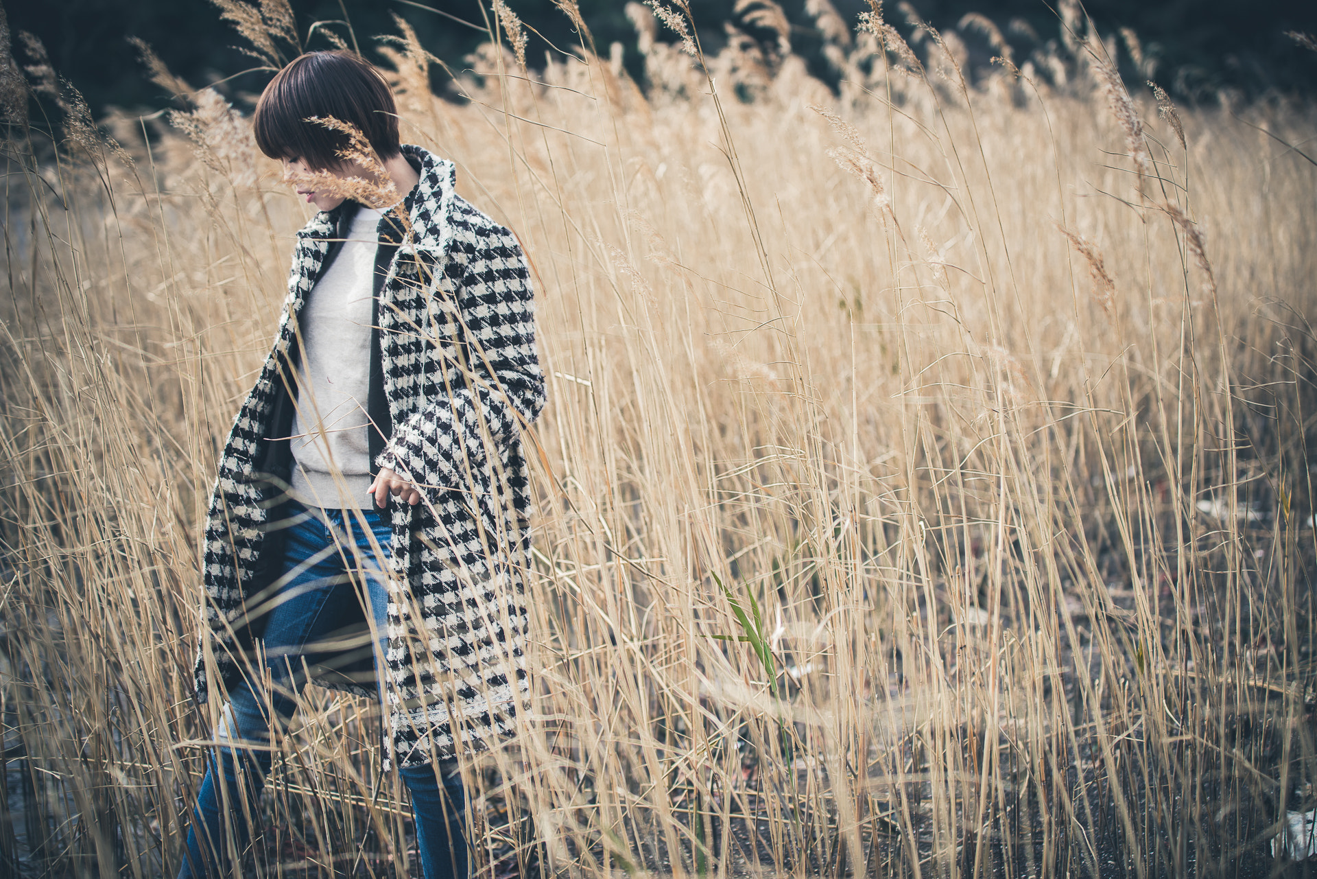 Nikon D800E sample photo. The banks photography