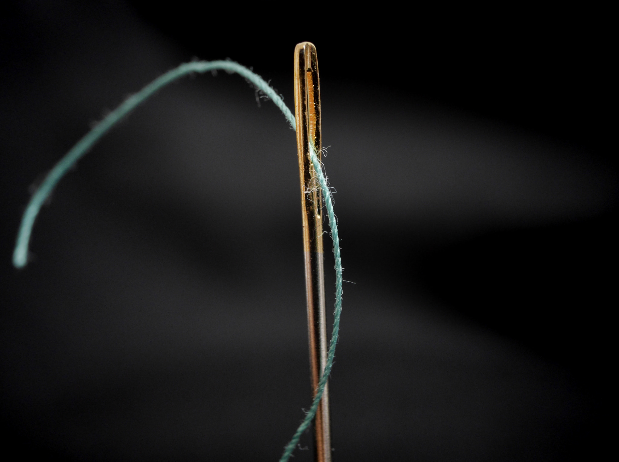 Panasonic Lumix DMC-GH3 + Panasonic Lumix G 14mm F2.5 ASPH sample photo. Through the eye of a needle photography