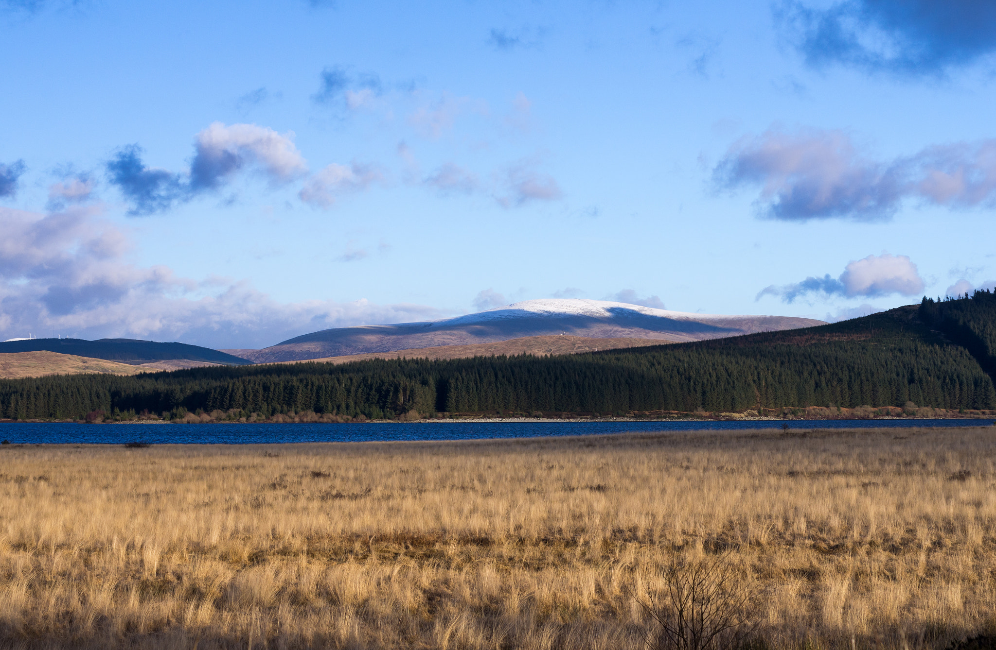 Pentax K-5 + smc PENTAX-F MACRO 50mm F2.8 sample photo. Grassland photography